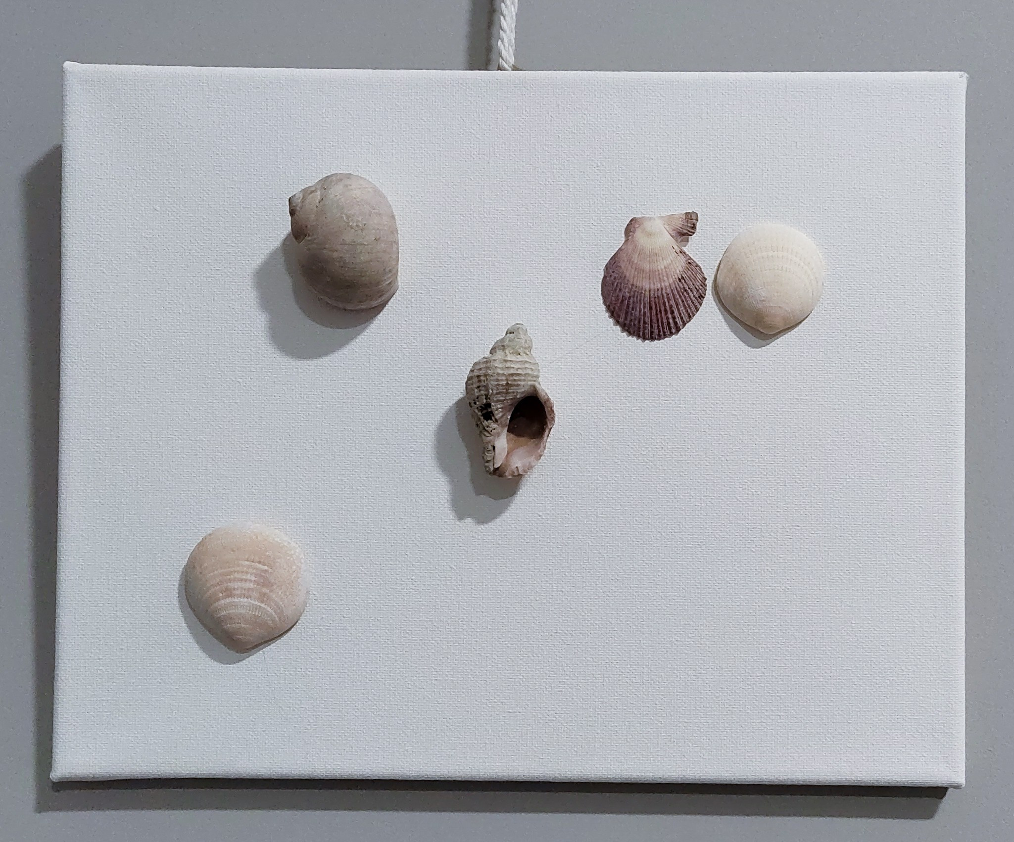 КУКУМАРИЯ-25. ПЕРСОНАЛЬНЫЙ ВЫСТАВОЧНЫЙ ПРОЕКТ. Художник, преподаватель дизайна, начинающий сценограф и режиссёр во Владивостоке