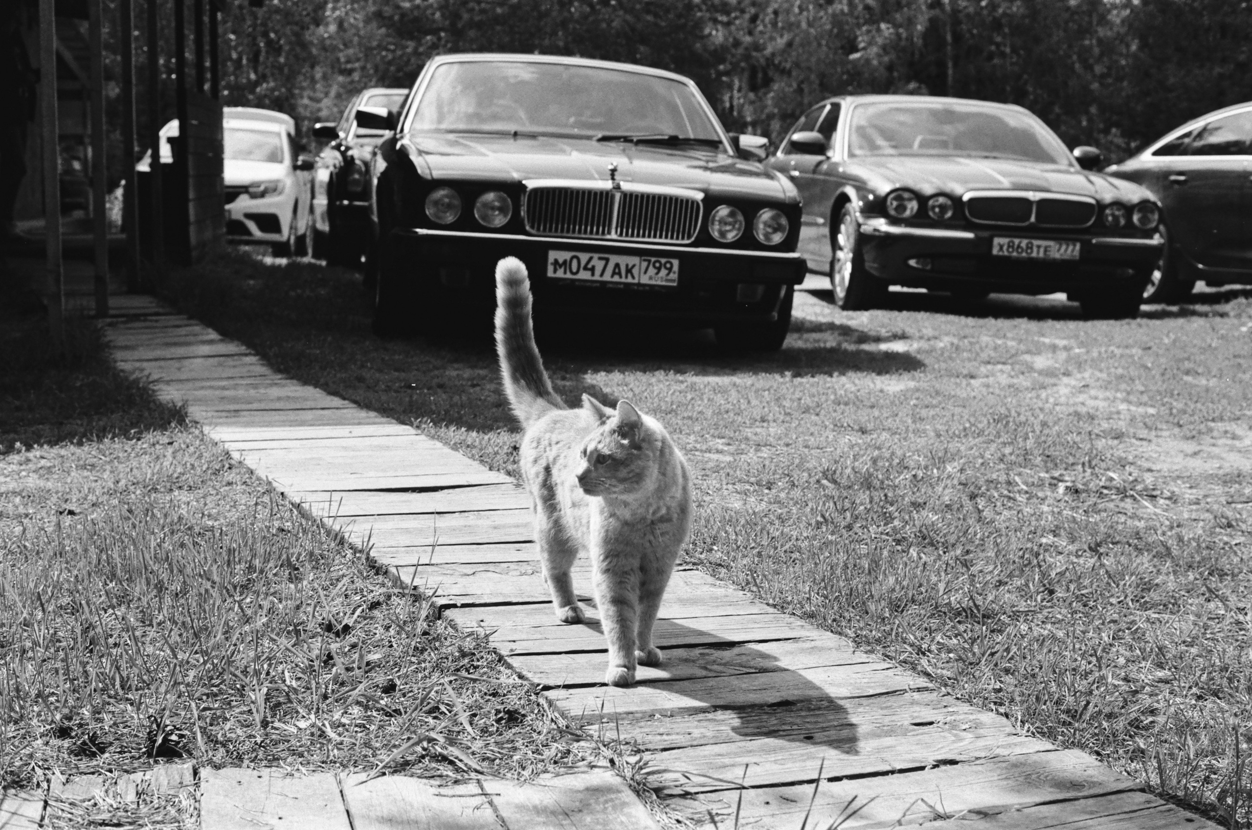 Плёночная фотосъемка автомобиля. Жуков Илья свадебный фотограф в Москве