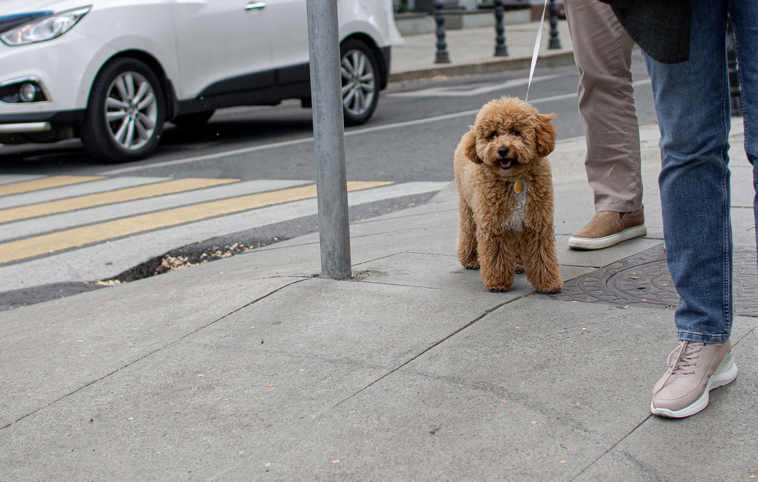 Свадьба в особняке Спиридонова, фотограф Жуков Илья