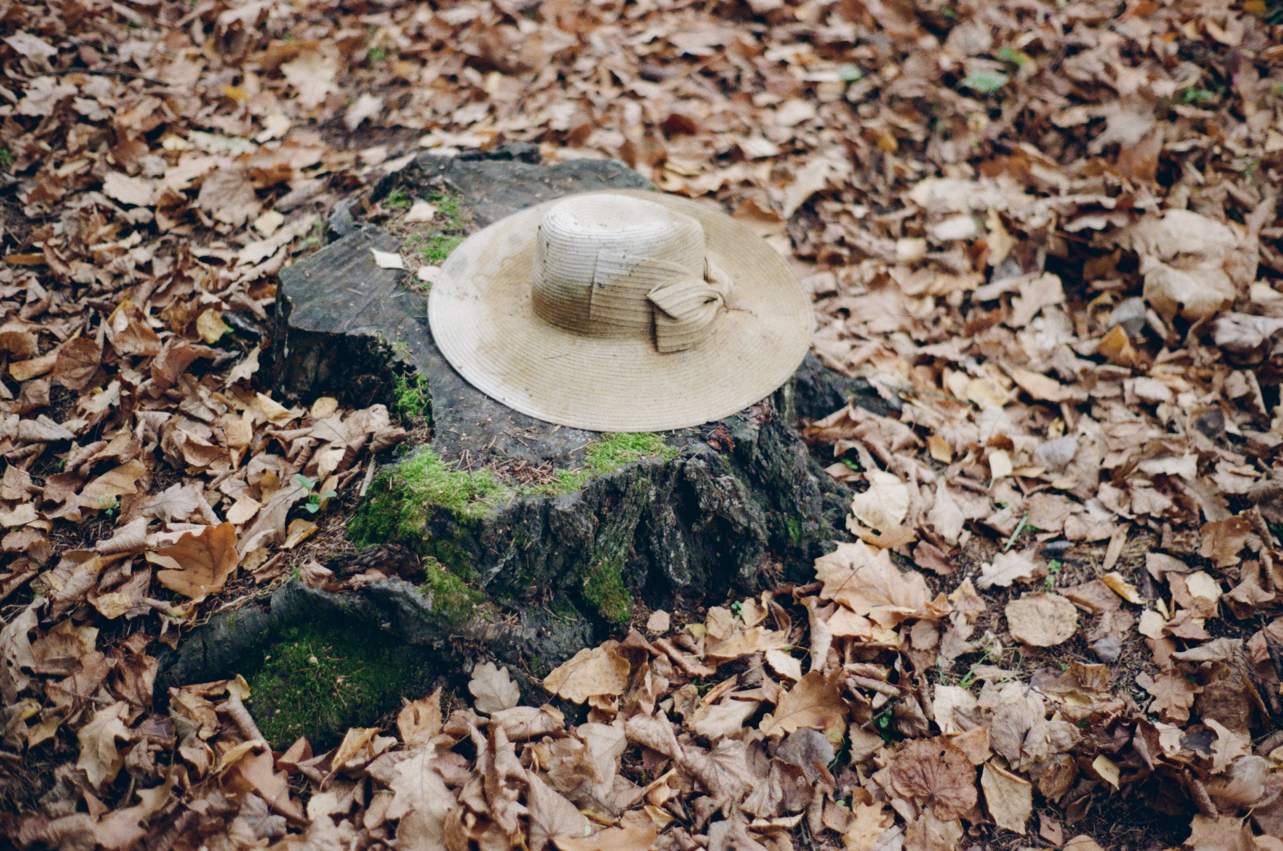 Коммерческие фотосъемки для бизнеса в Москве. Жуков Илья свадебный фотограф в Москве