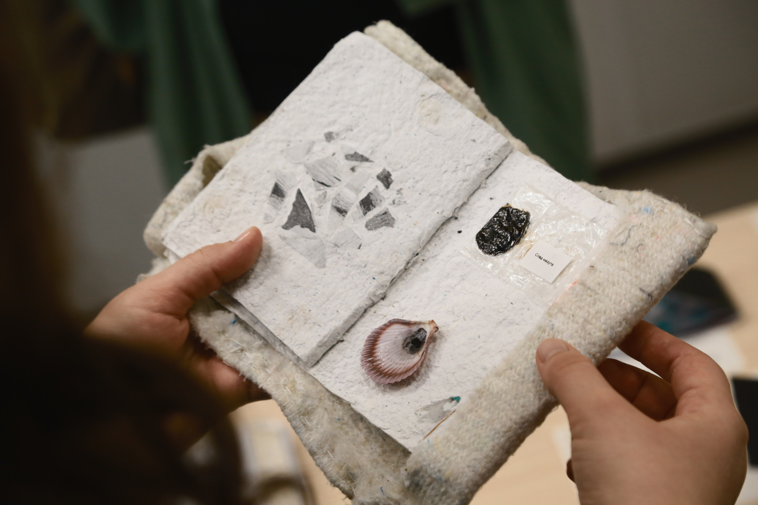 «Жердёла», зин-фестиваль, 24–25 мая, музей-библиотека Н. Ф. Фёдорова, Москва. Лера Круглова