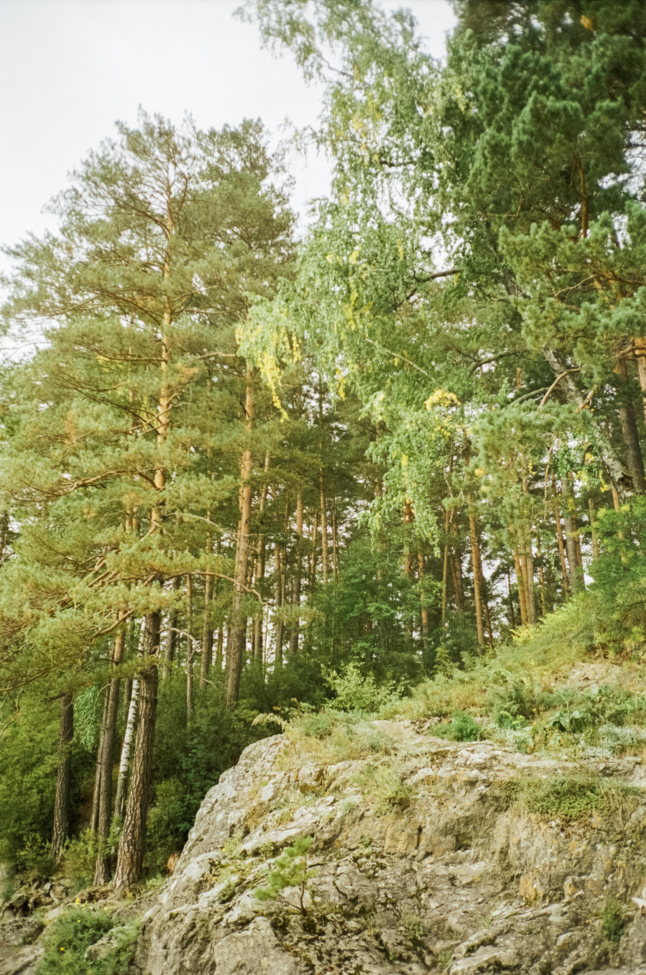 Кызыл-Таш на Катуни. Береговая вышка и скалы. Фотограф-документалист Мария Осокина