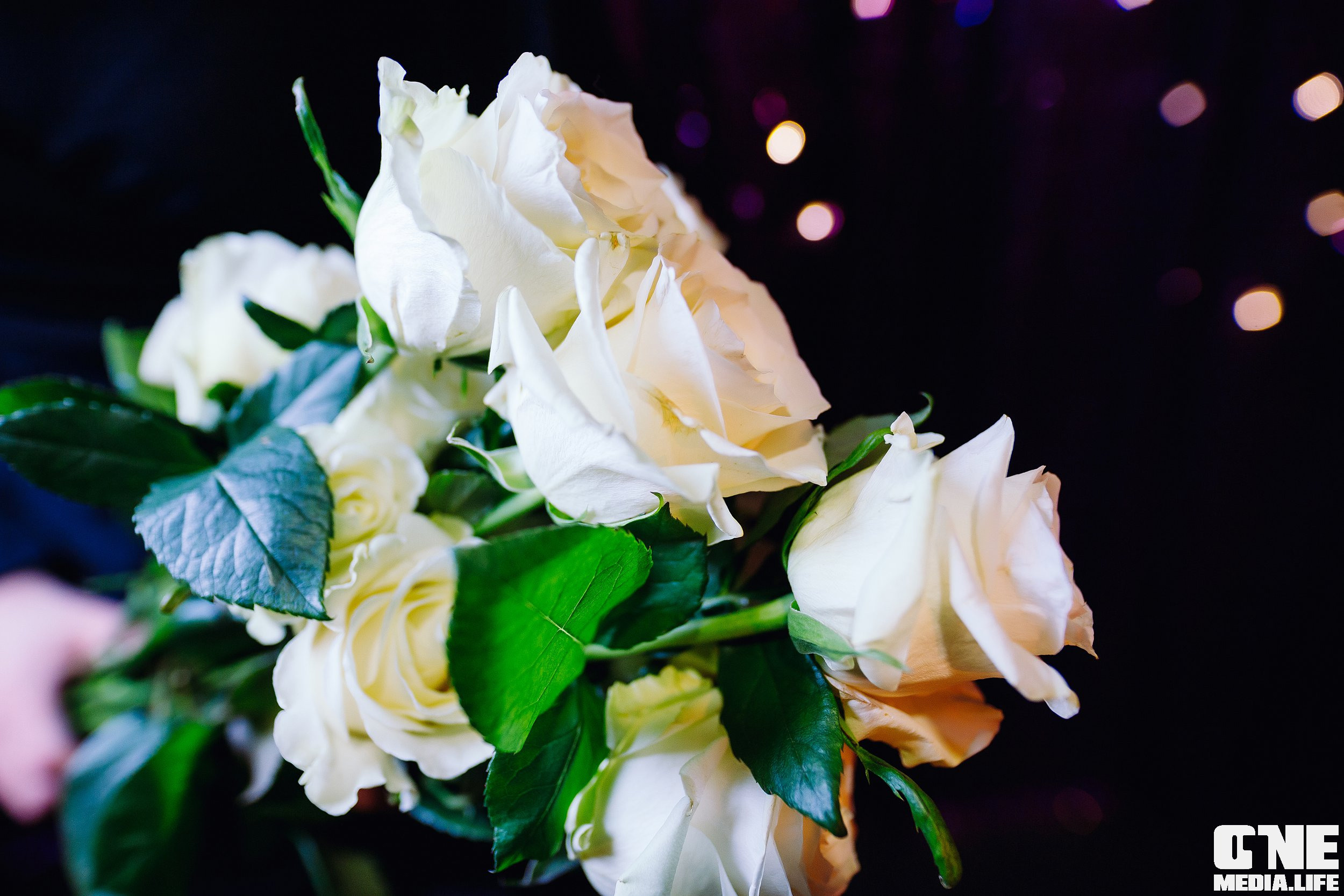 Фоторепортаж из караоке клуба Эйфория. One Media Life: фоторепортажи, фотоотчеты с мероприятий и заведений