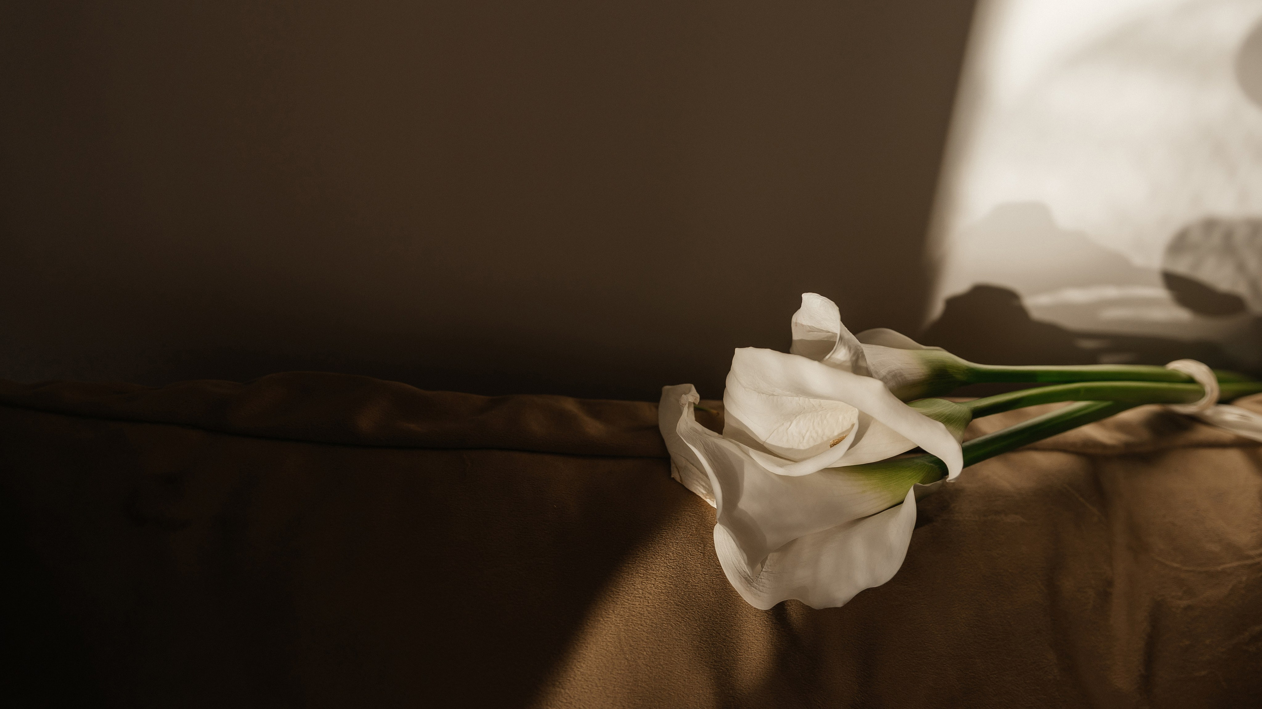 Свадебный фотограф в Ростове-на-Дону