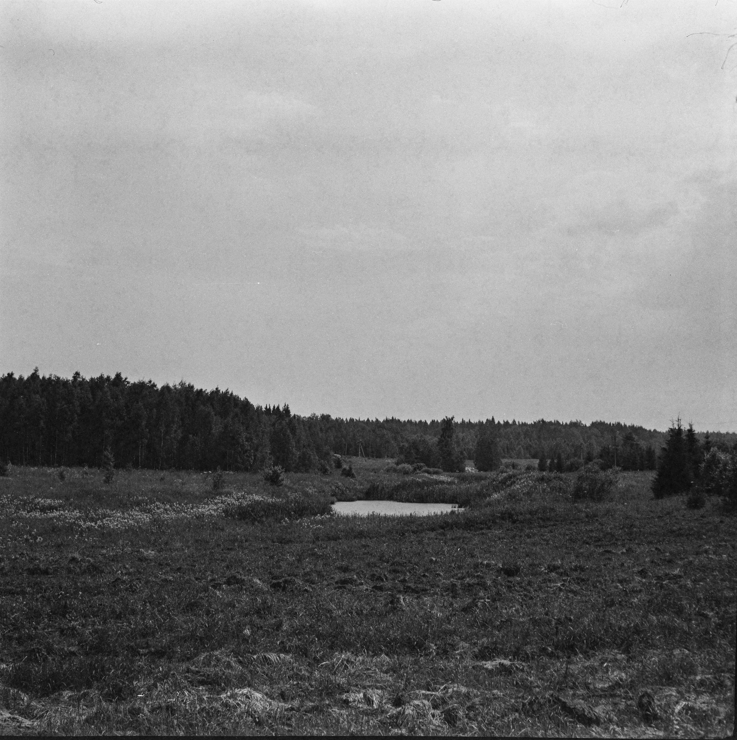 Welta Weltax — Carl Zeiss Jena Tessar T 75 mmf3.5