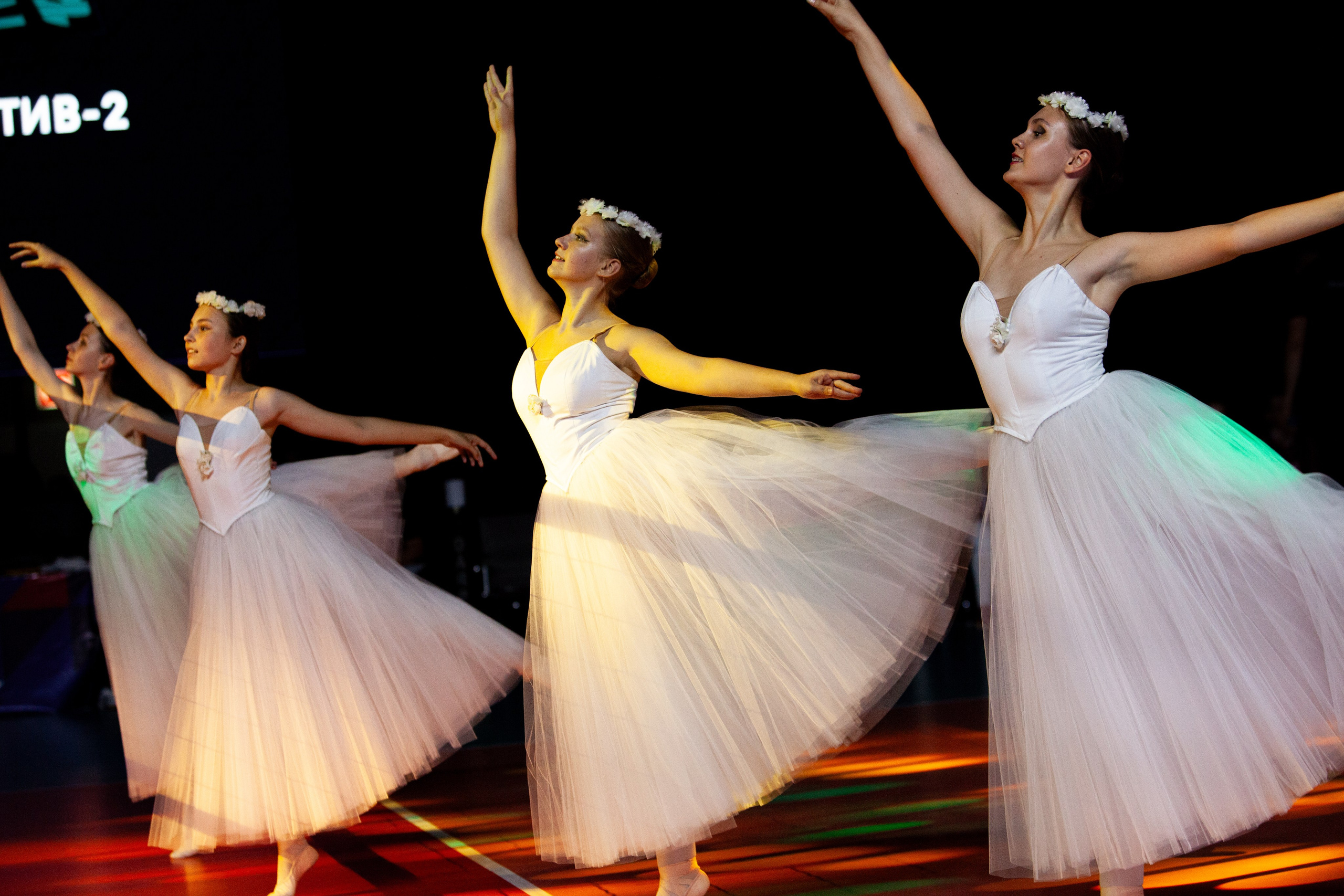 Один день из тура чемпионата России по волейболу. Кутузов Евгений Фотограф в Южно-Сахалинске