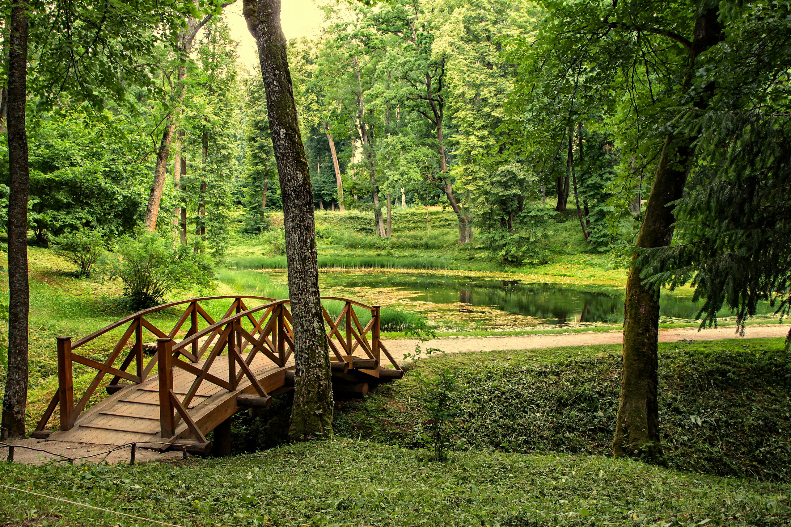 Тишина. Свадьбы, портретная, предметная съемка. Фотограф Александр К