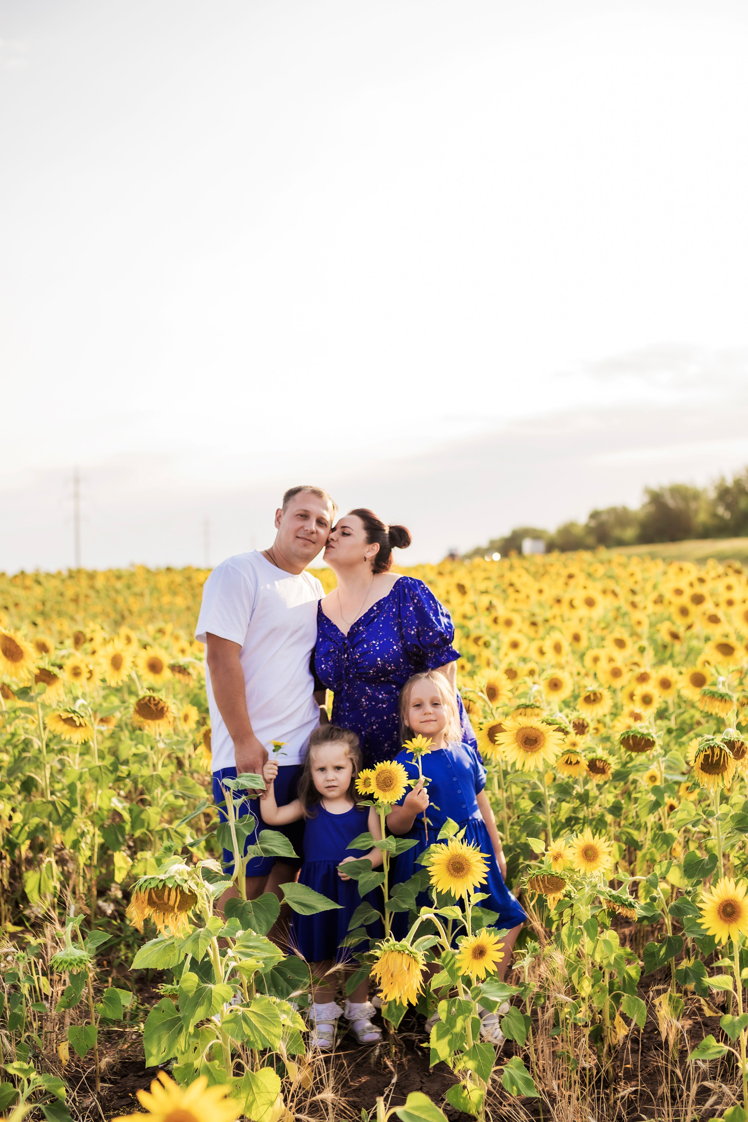 Фото в подсолнухах. Семейный фотограф в Саратове