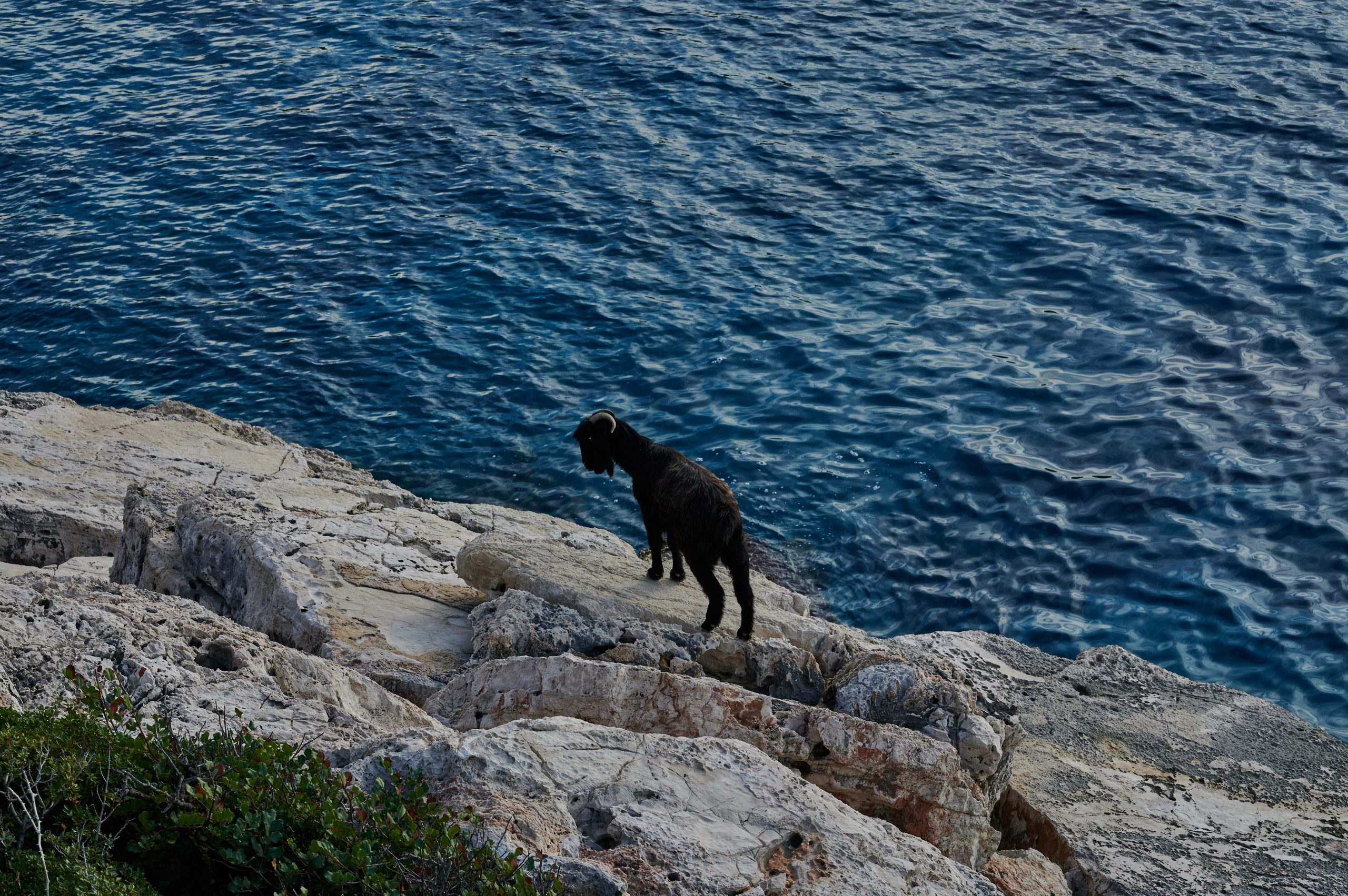 Photographer Yulia Lushnikova, Based in Valencia