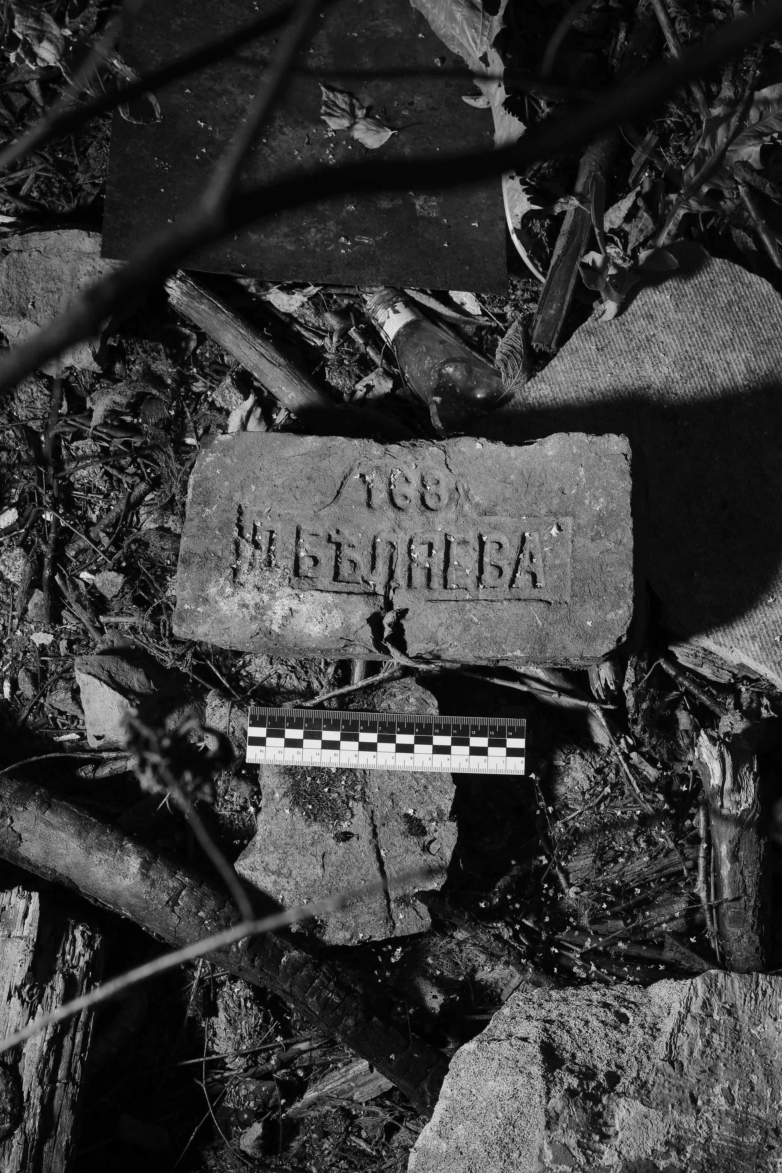 Fruits still falls from apple trees. Kristina Sergeeva