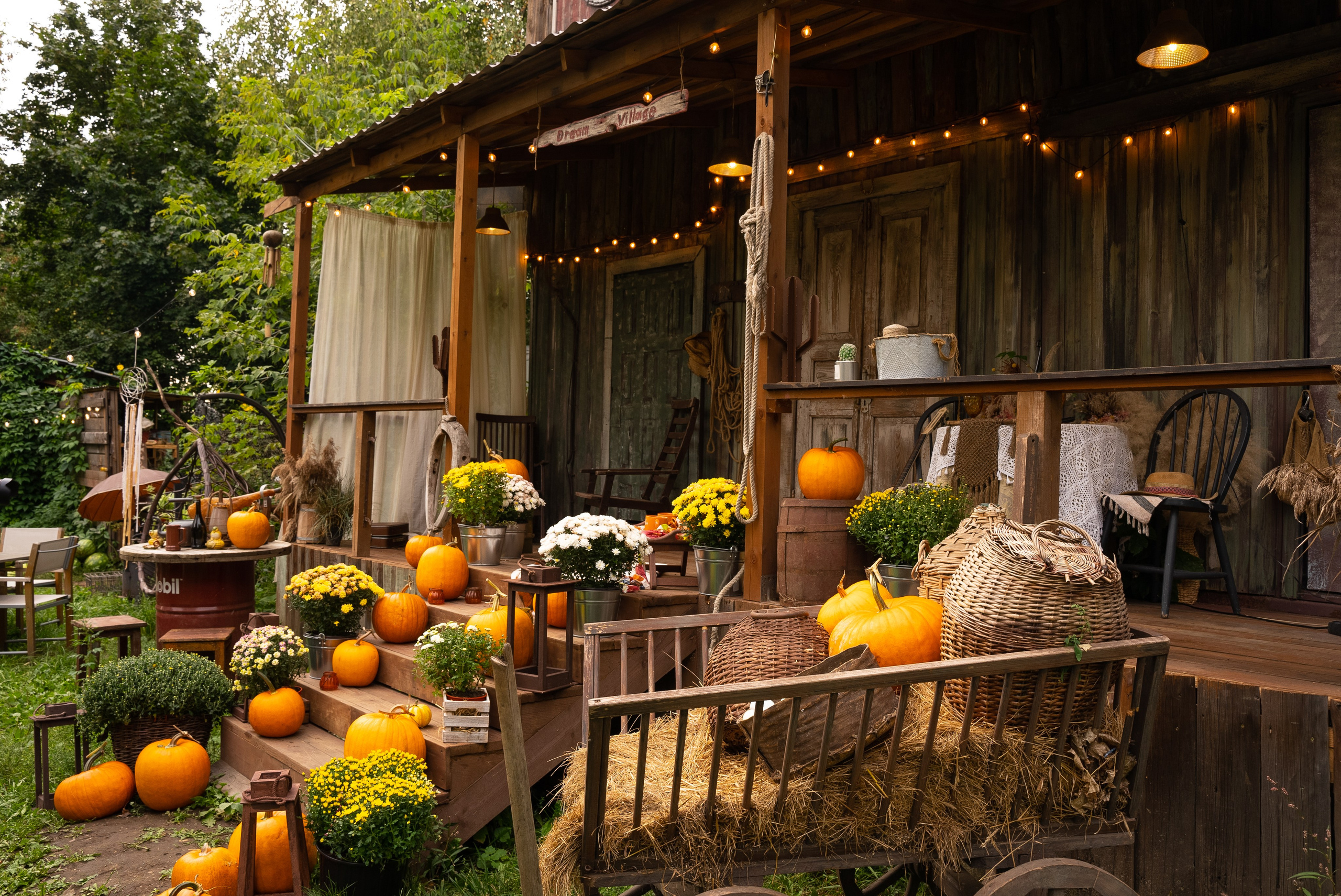 Реклама локации «РАНЧО» в YOOFOTOSKAZKA 📸+🎬. Видеограф / Фотограф  — Яна Спащанская