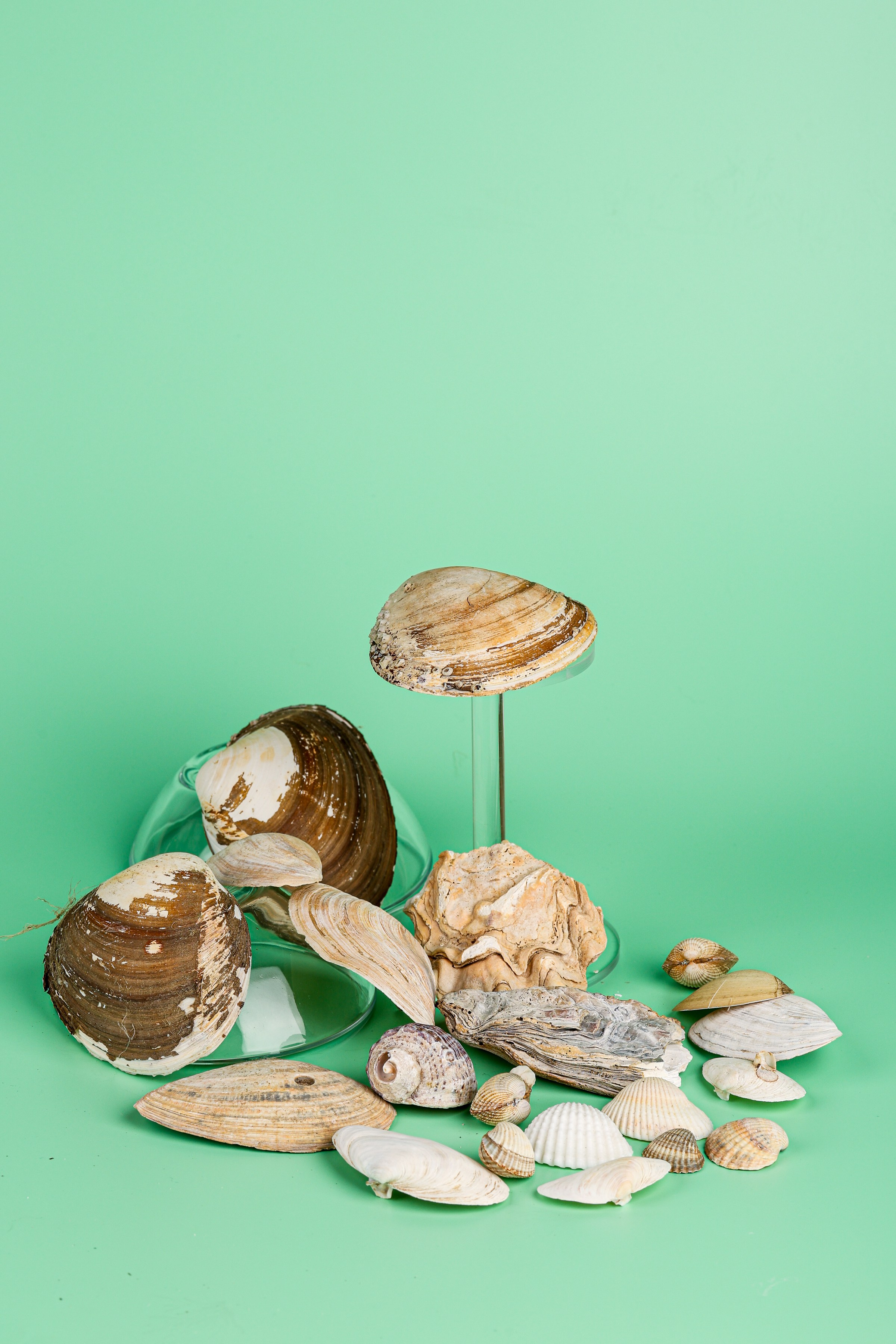 Реквизит и Оборудование