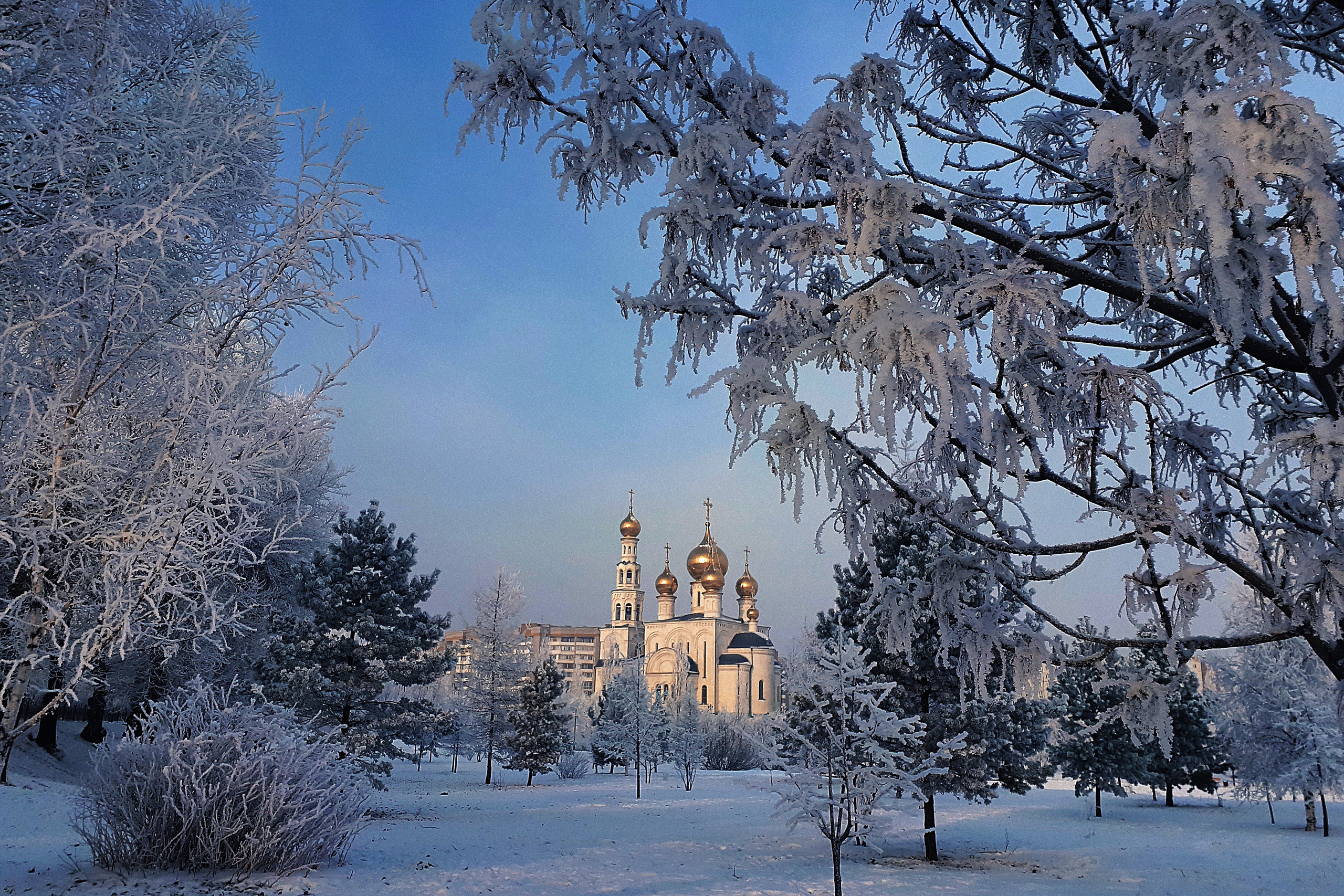Фотошкола и фотокурсы в Абакане