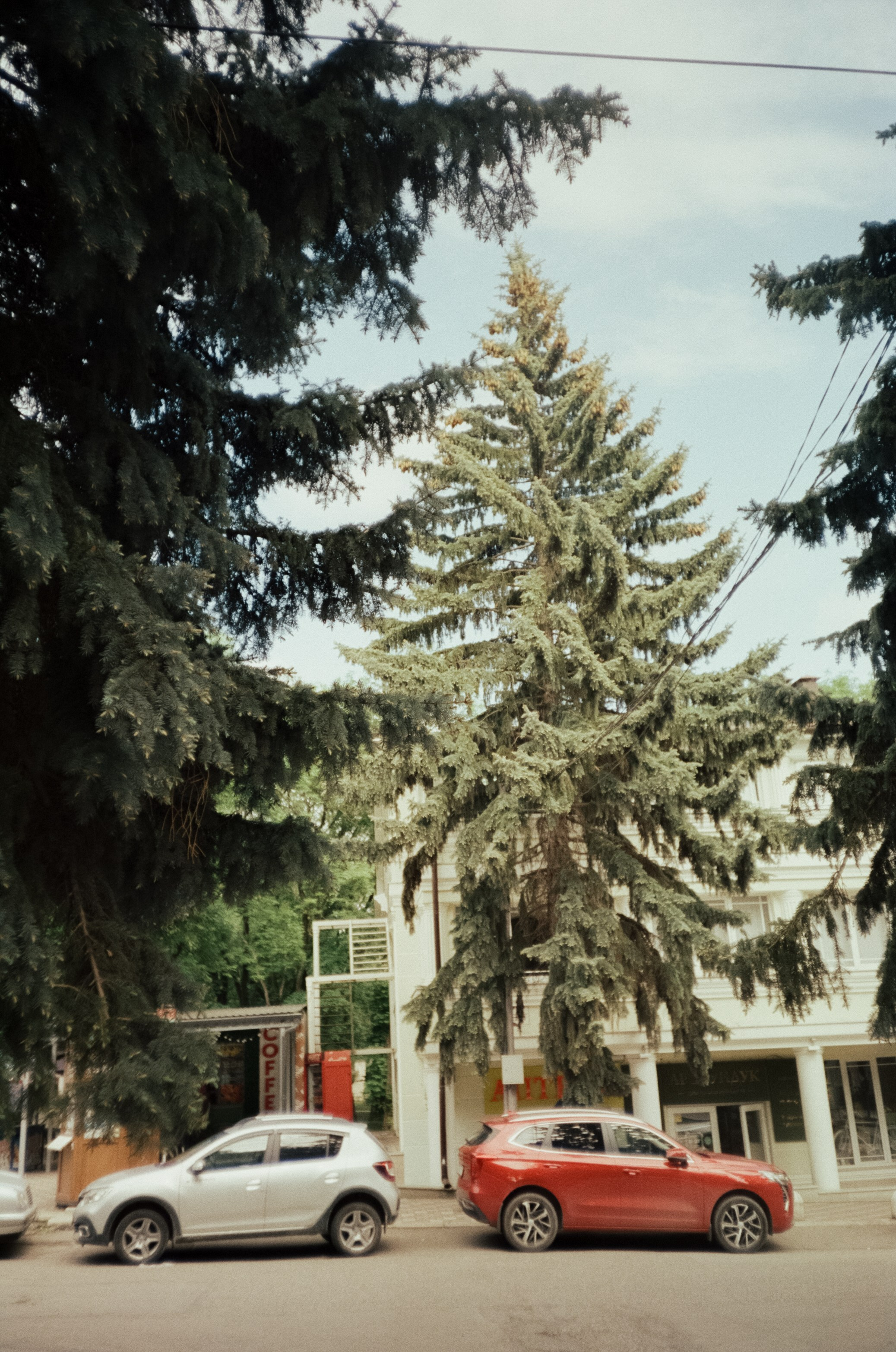 Стрит в Ессентуках. Дворики, дома и кот в окне. Фотограф-документалист Мария Осокина