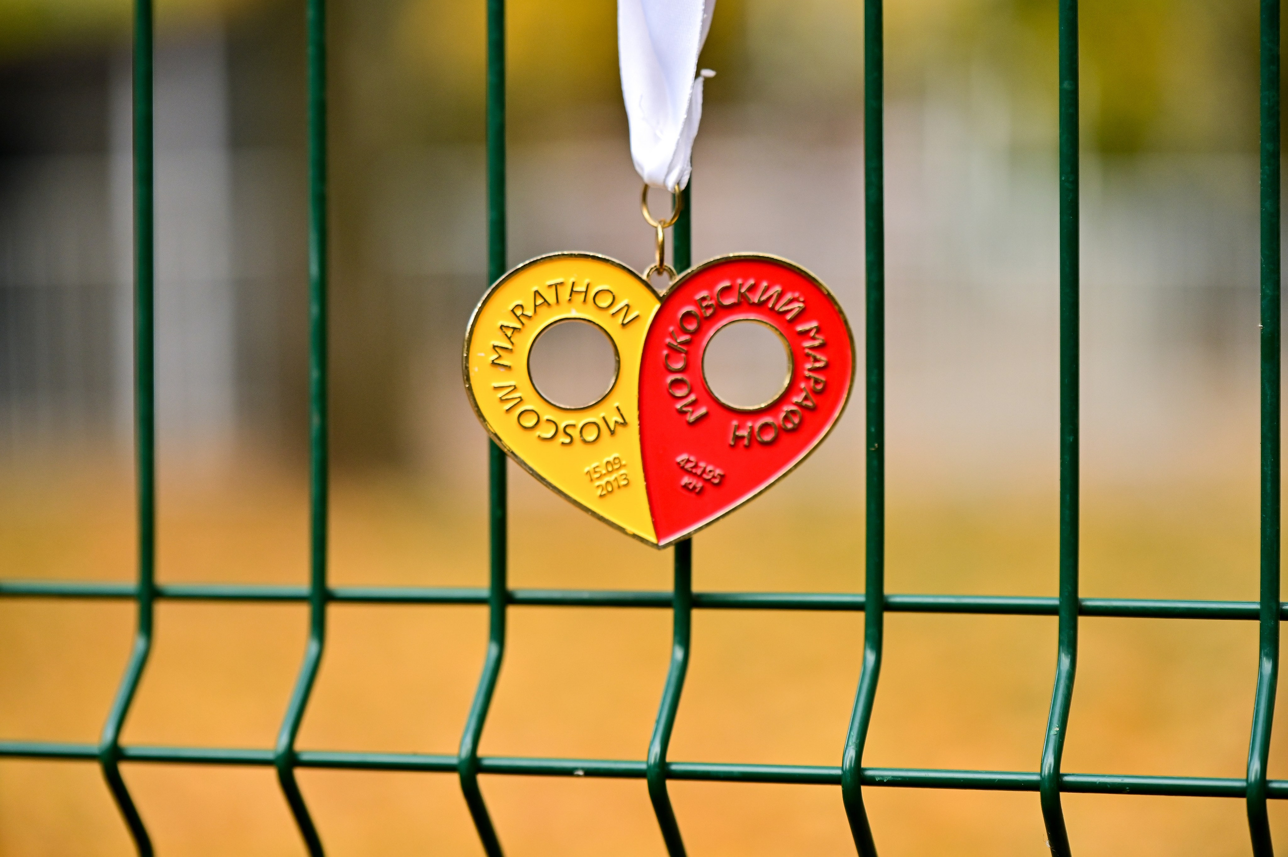 S95 Кузьминки Предмарафонский (12.10.24). Фотограф | Ирина Гамзинова | Москва