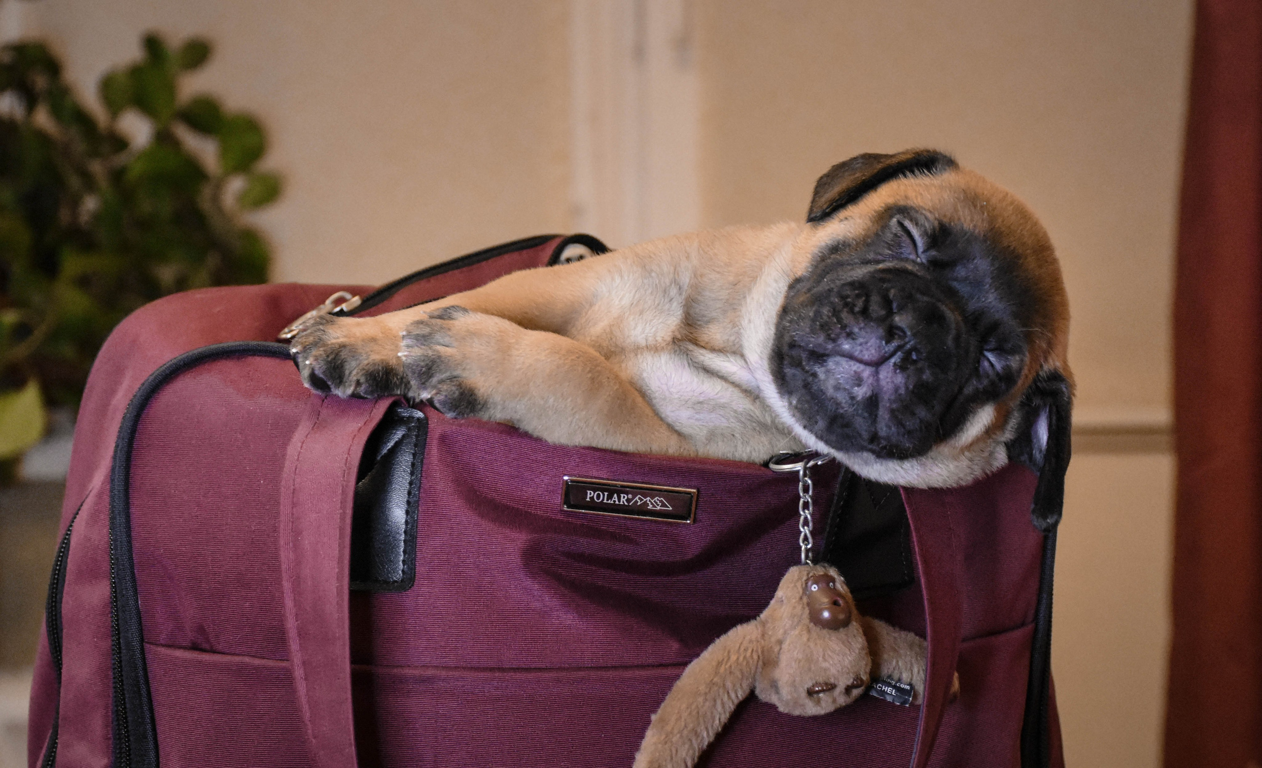 В созвучии с природой. Фотограф Светлана В. Пронина, Москва