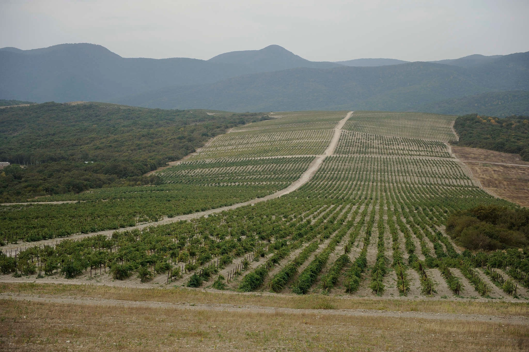Абрау-Дюрсо. Репортажный фотограф в Сочи — Михаил Мордасов