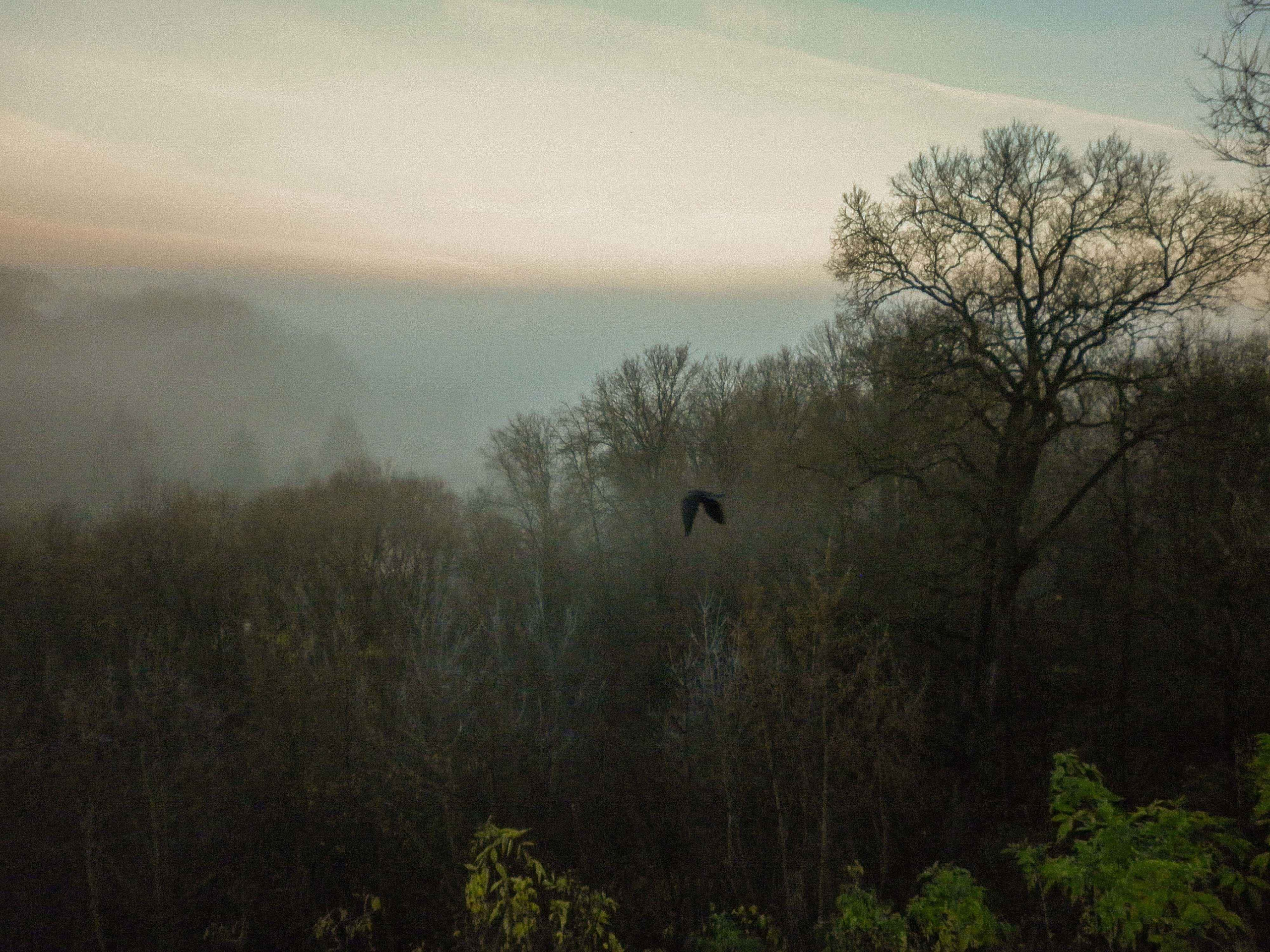 Я шёл и не видел…. Свадебный фотограф Смоленск