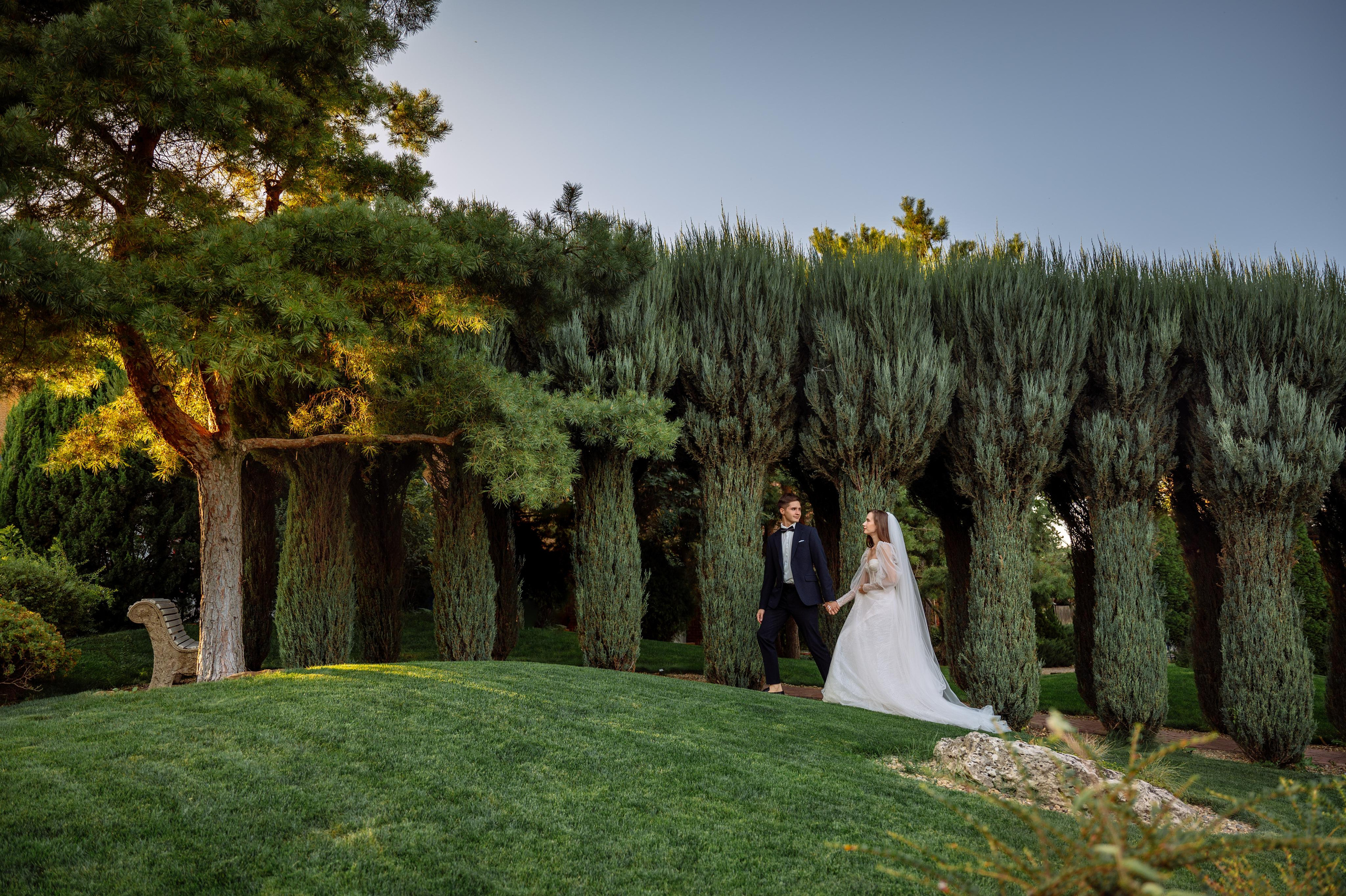 Свадьба Александра и Елизаветы в "Солнечный", Ростов-на-Дону