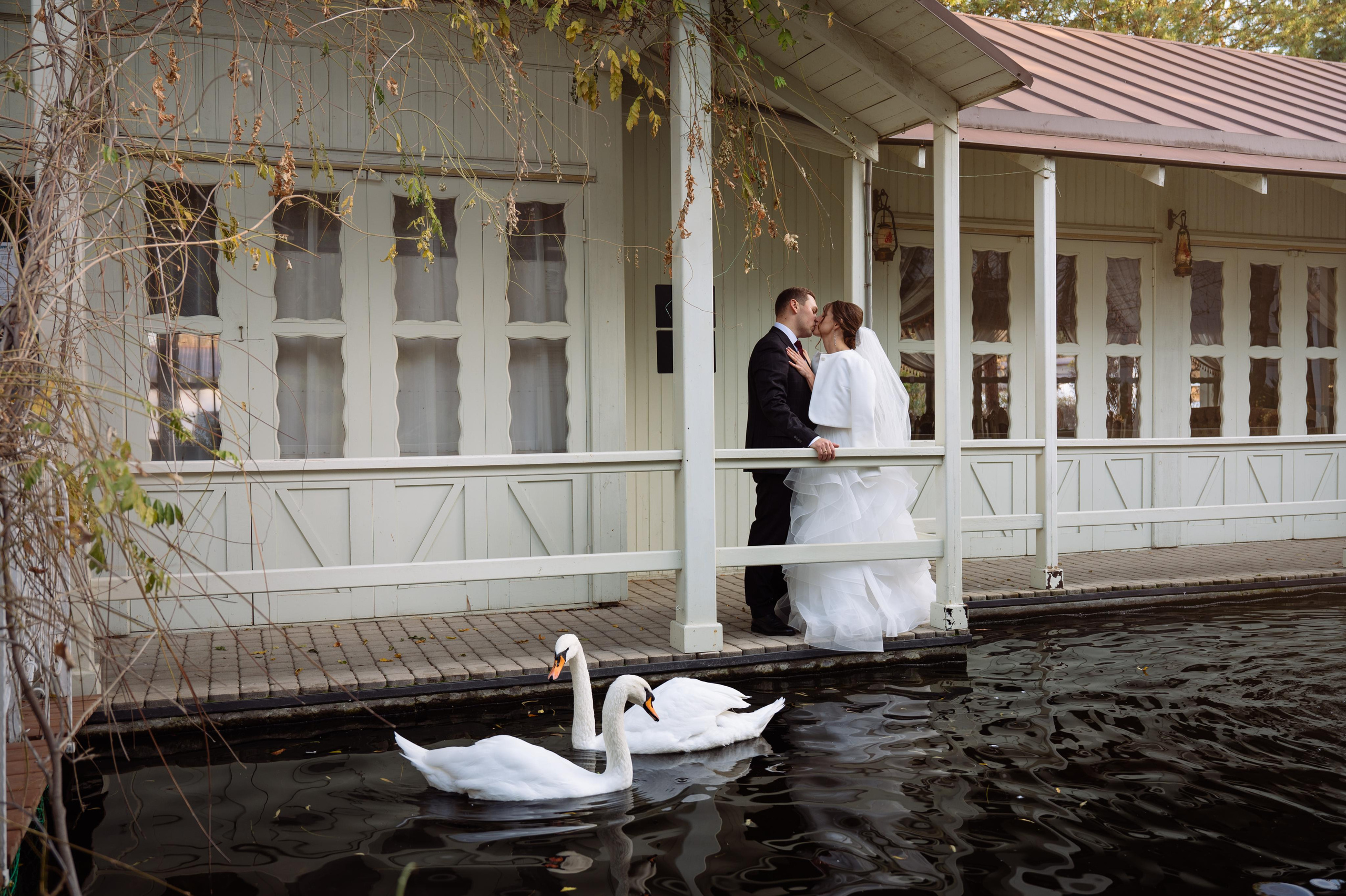 Свадьба Александра и Елены в загородном клубе Голицын, Ростов-на-Дону