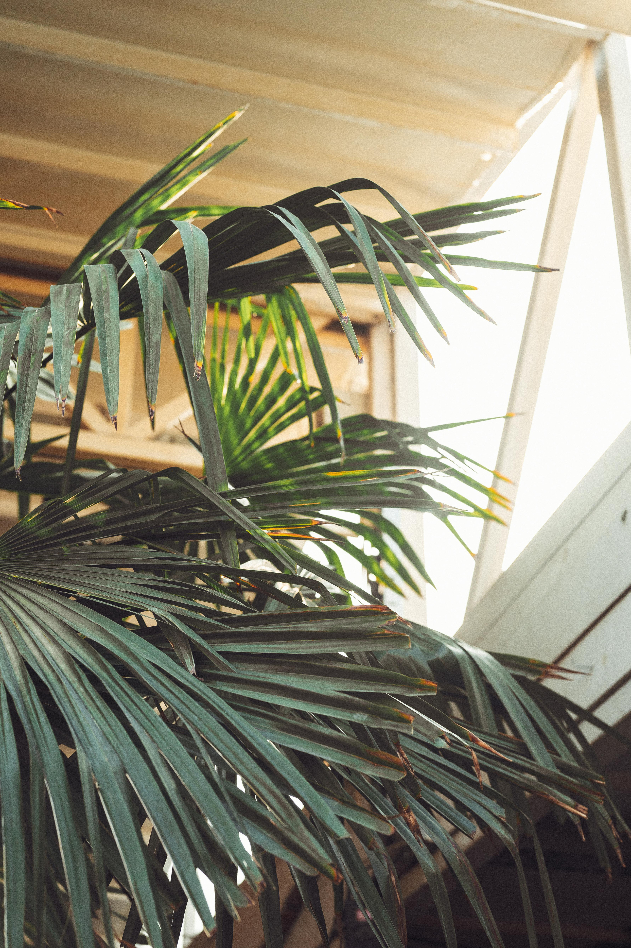 Съемка вечеринок и ивентов в Белграде. Фотограф в Белграде Чугреева Елена