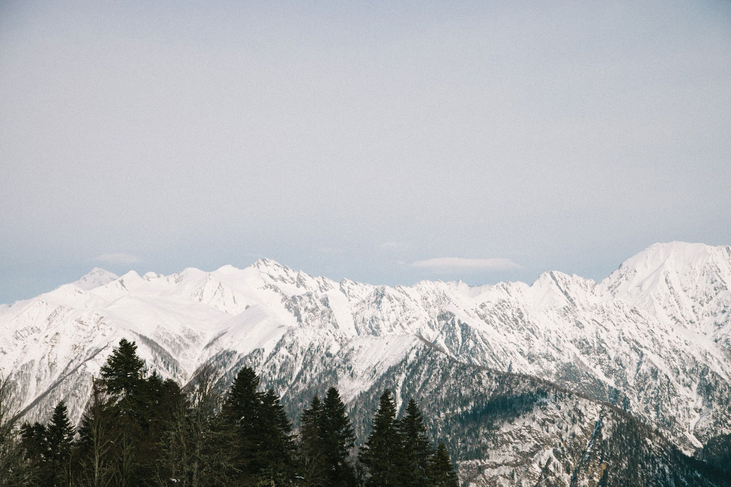 Audi quattro winter cup sochi. Фотограф Серафим Крюков