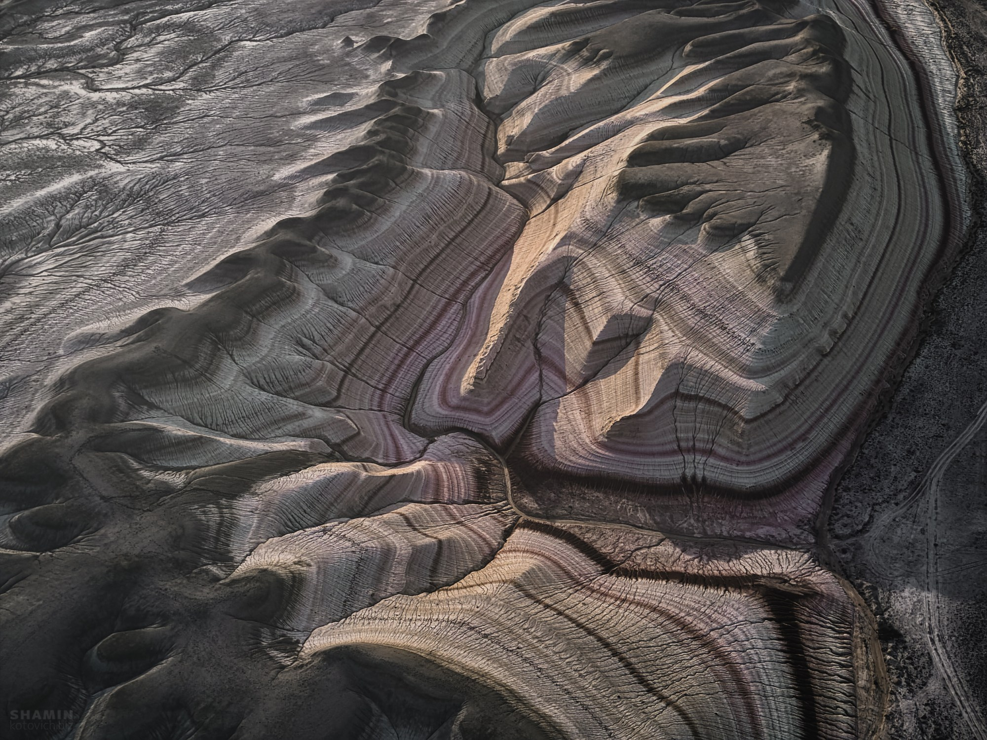 Проект 365. Фотограф Константин Шамин