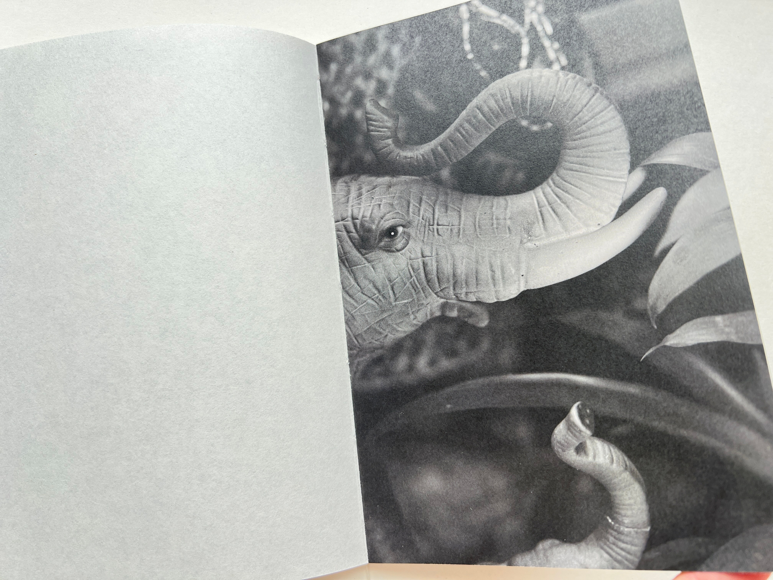 “Athanatos”, photobook by Natalya Madilyan