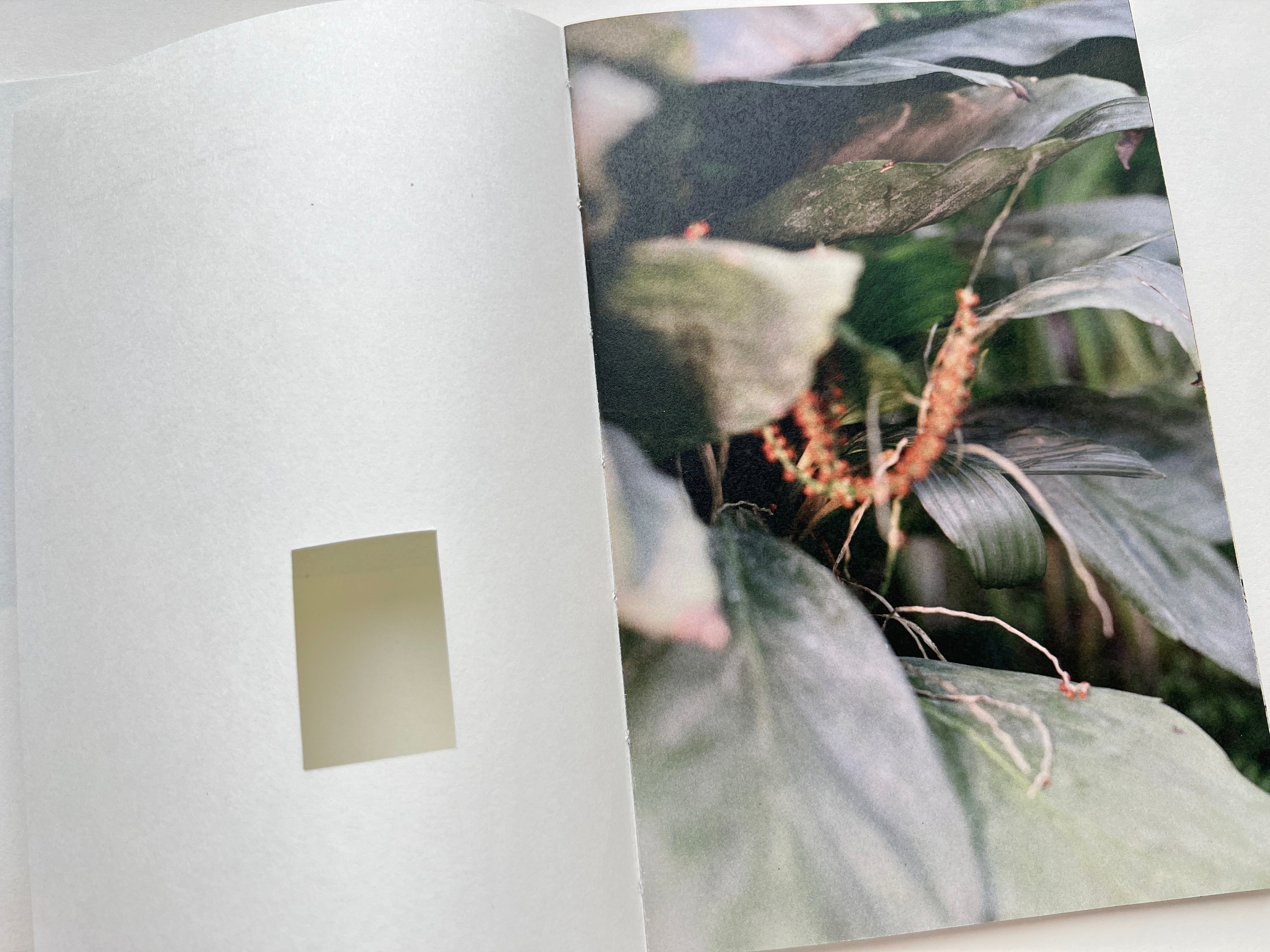 “Athanatos”, photobook by Natalya Madilyan