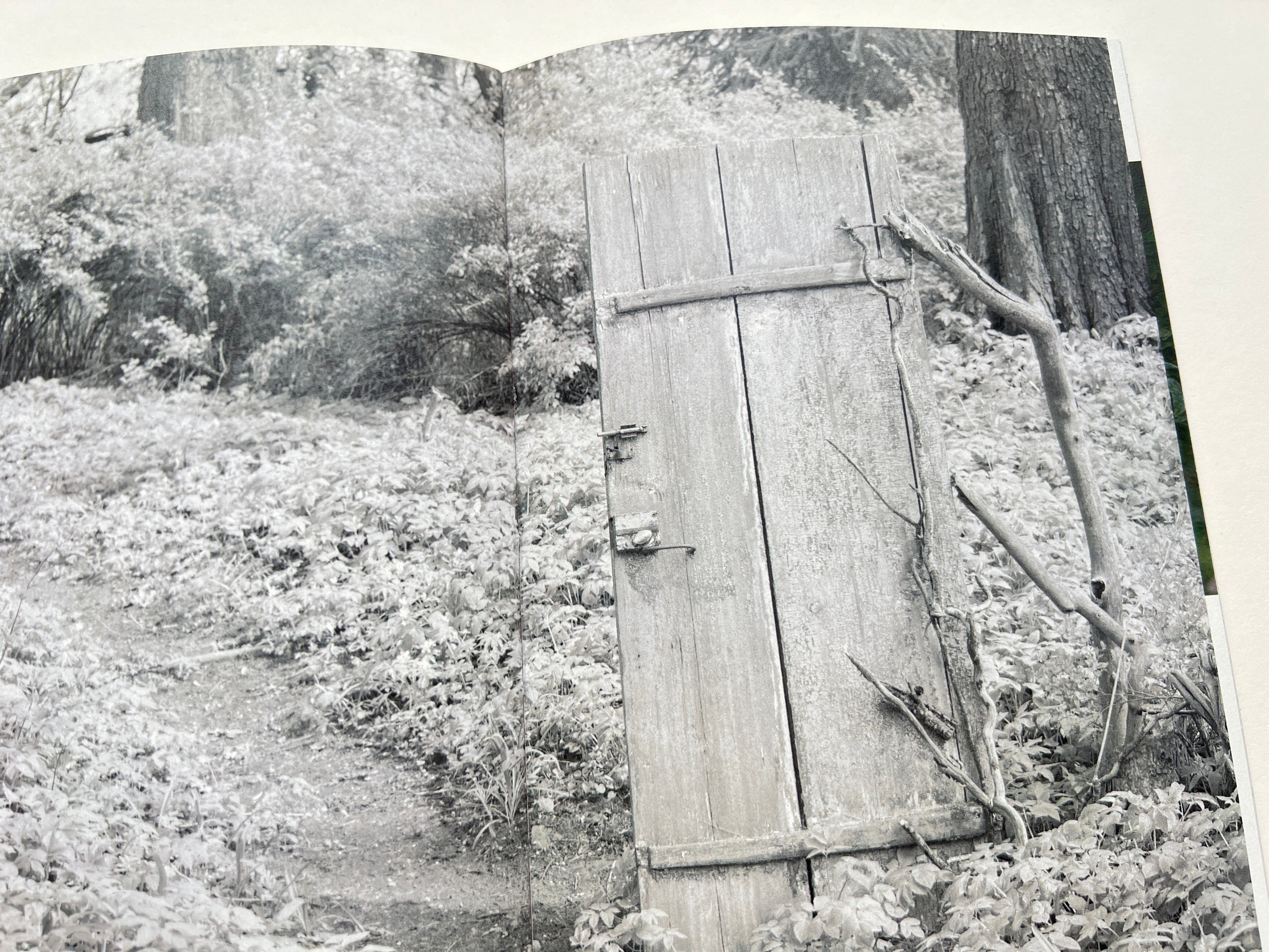 “Athanatos”, photobook by Natalya Madilyan