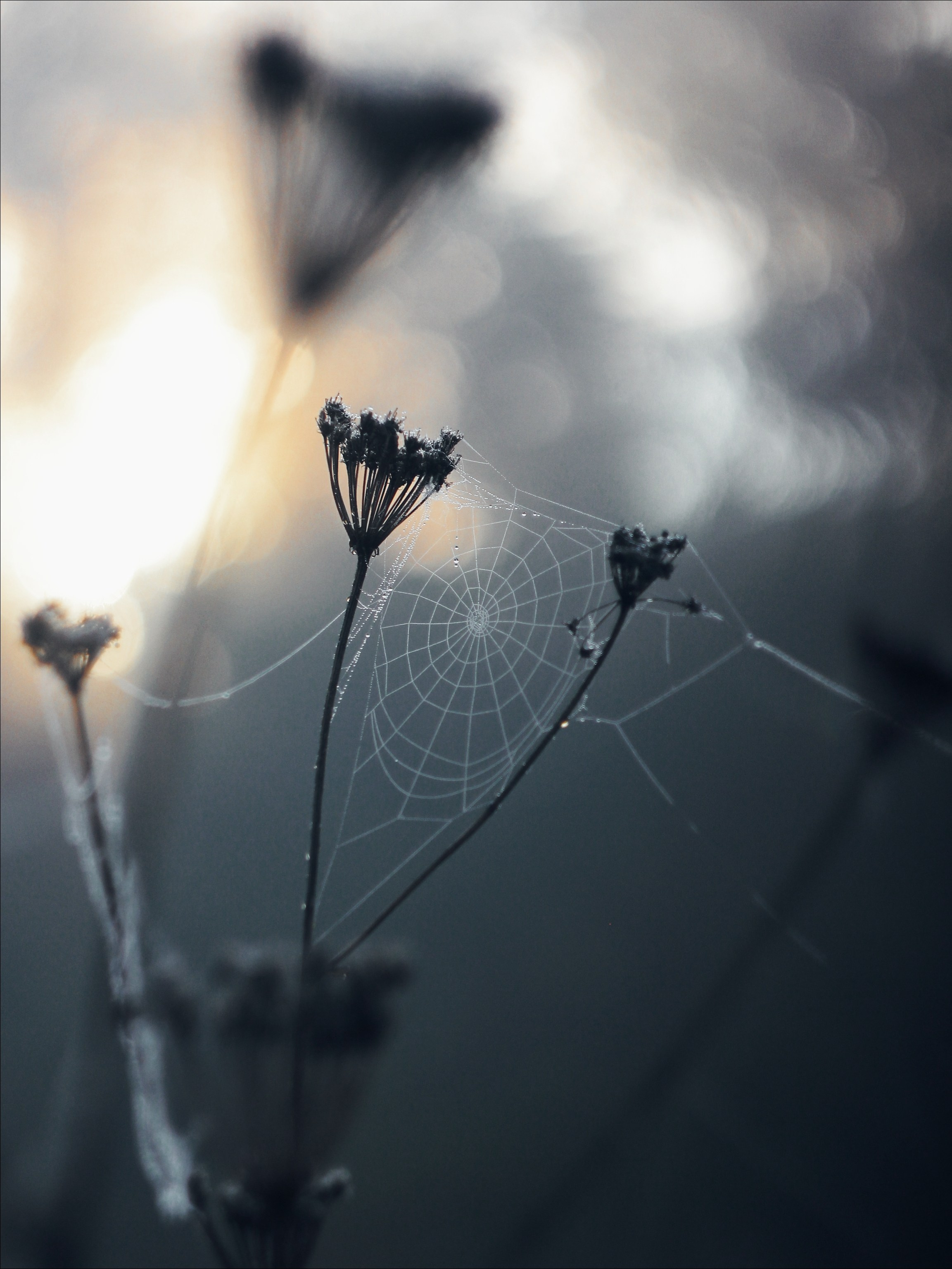 Опустошенность. С любовью, фотохудожник