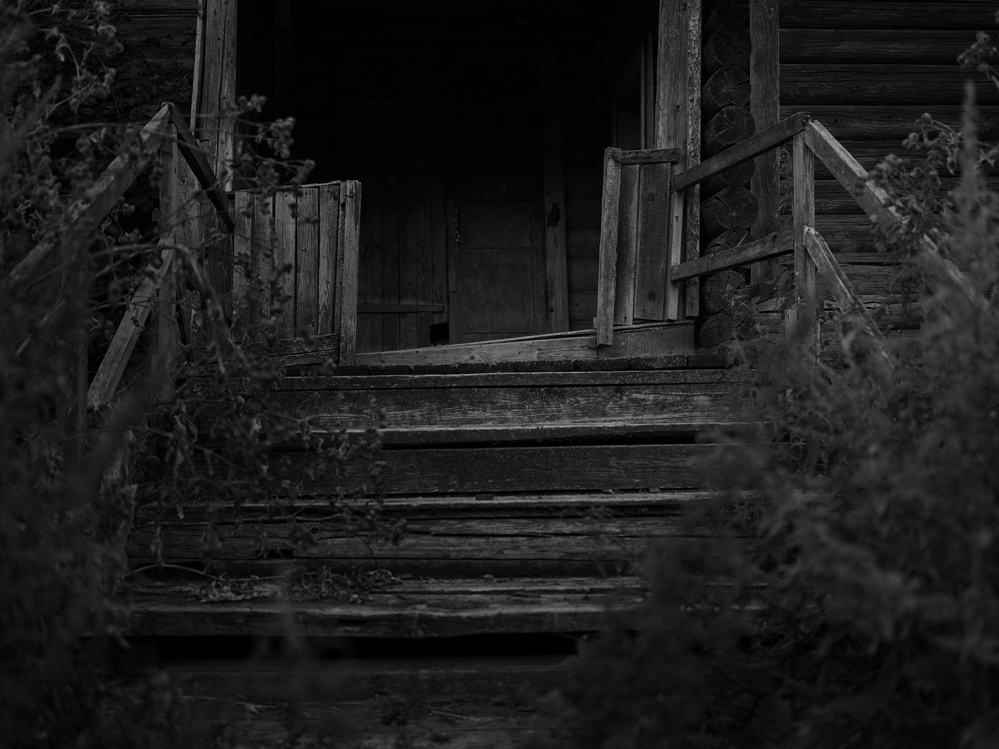 Russia. Documentary and art photographer Alexey Terentyev