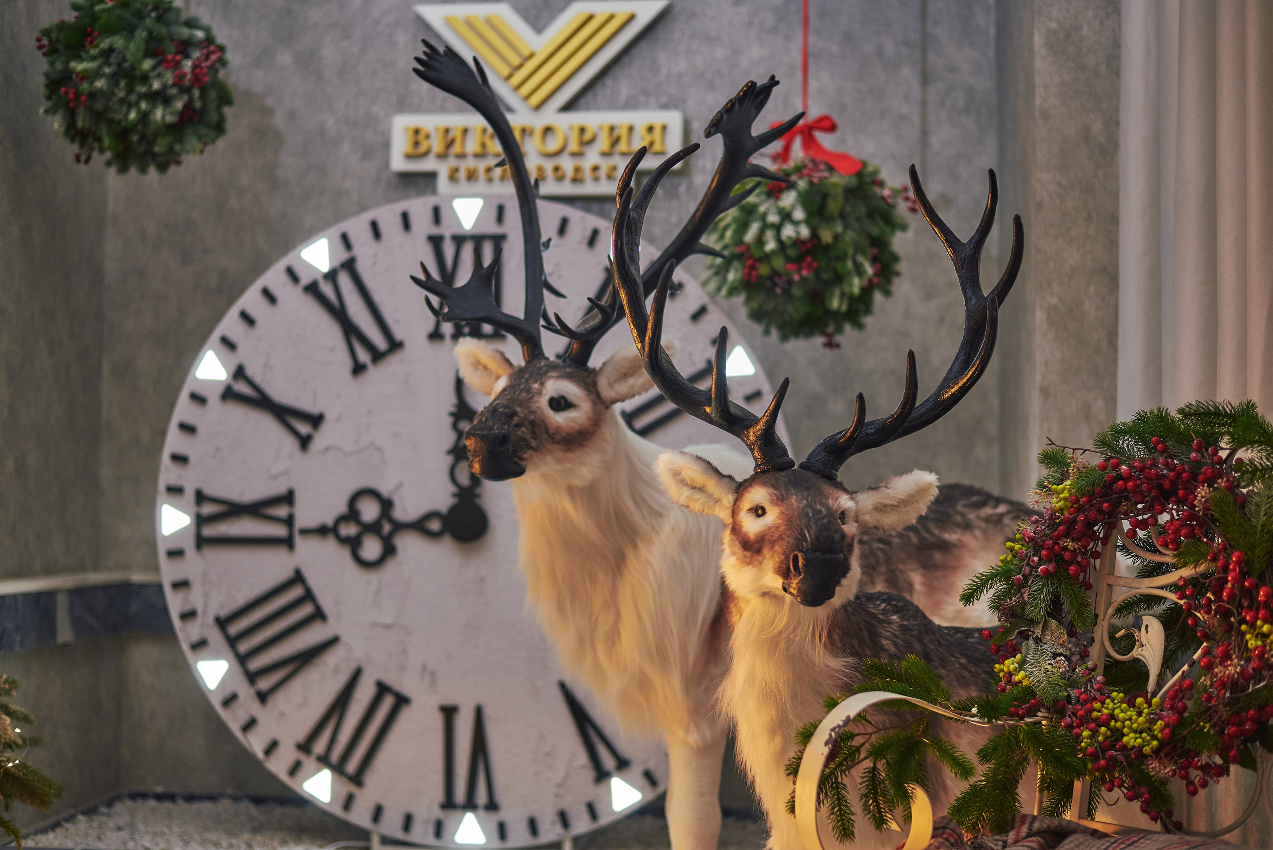 Санаторий «Виктория». Константин Кордонский | Интерьерный и food-фотограф в Кисловодске и КМВ