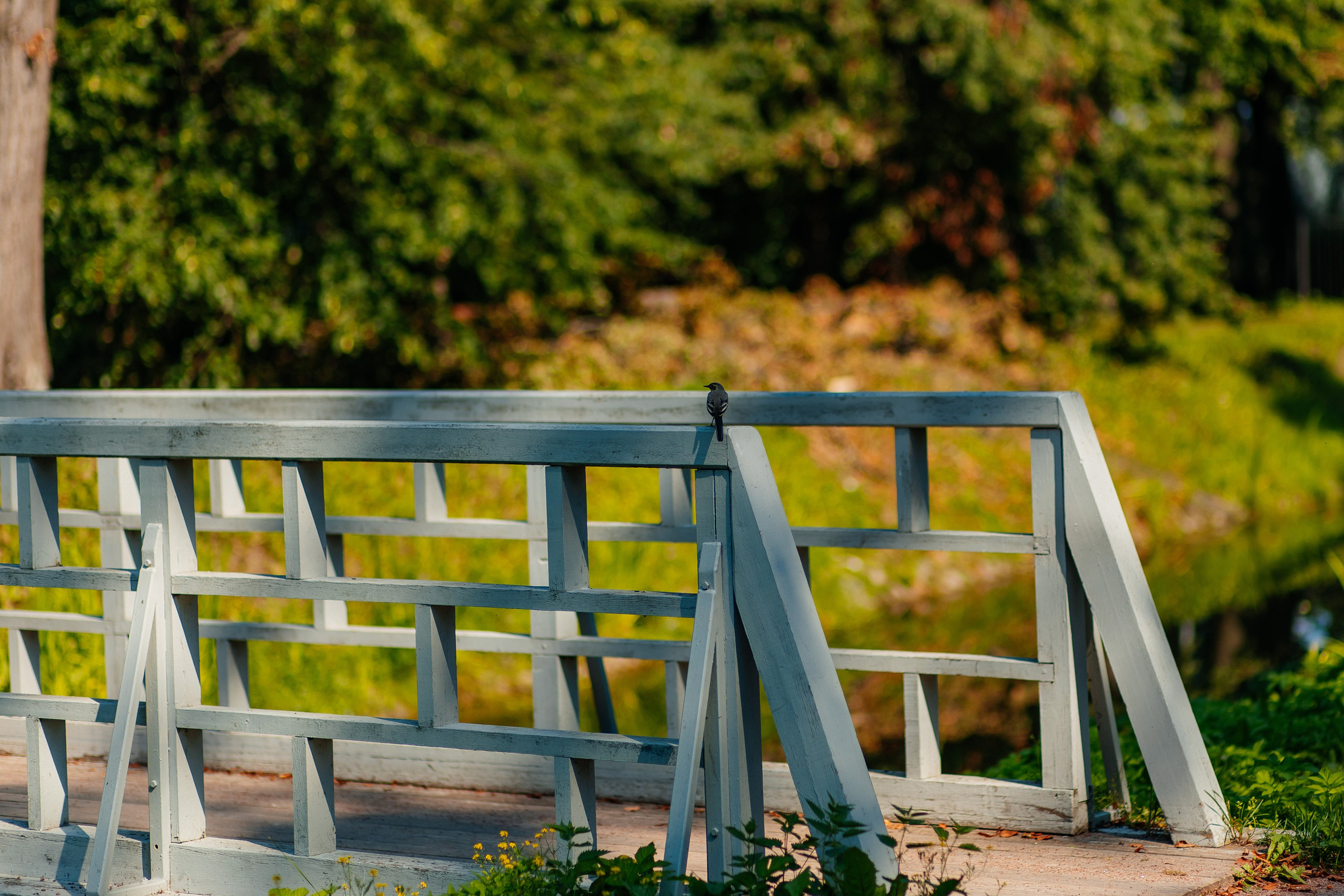 ФОТОСЕССИЯ В ПЕТЕРГОФЕ. ГДЕ СНИМАТЬ В ПЕТЕРГОФЕ