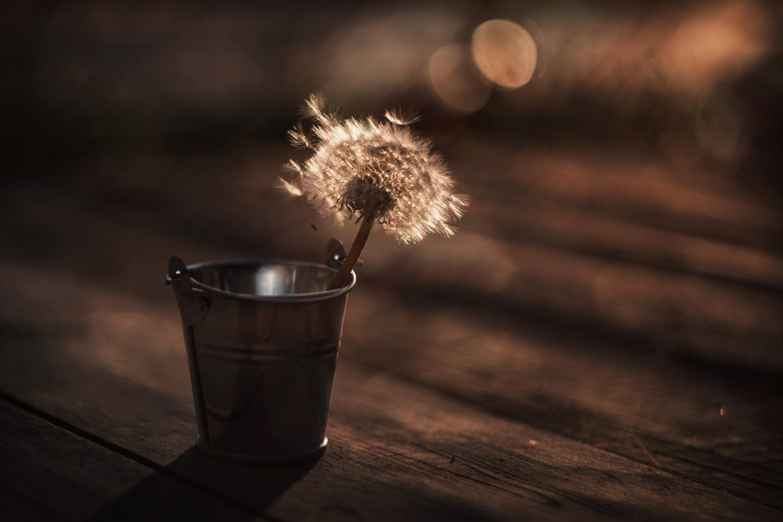 Фотошкола и фотокурсы в Абакане