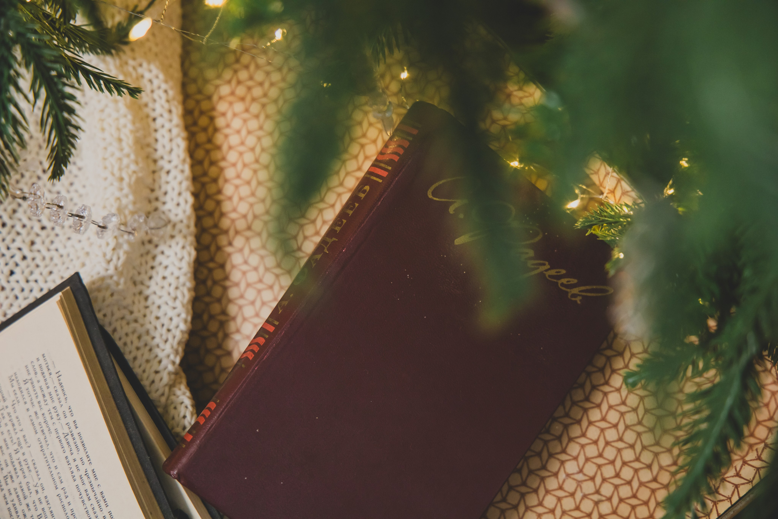 Новый год 2026. Фотограф в Екатеринбурге Переверзева Анна