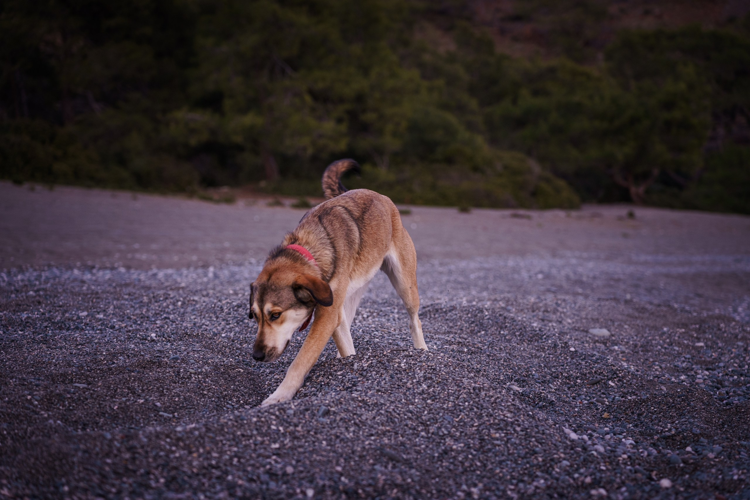 ликийская тропа