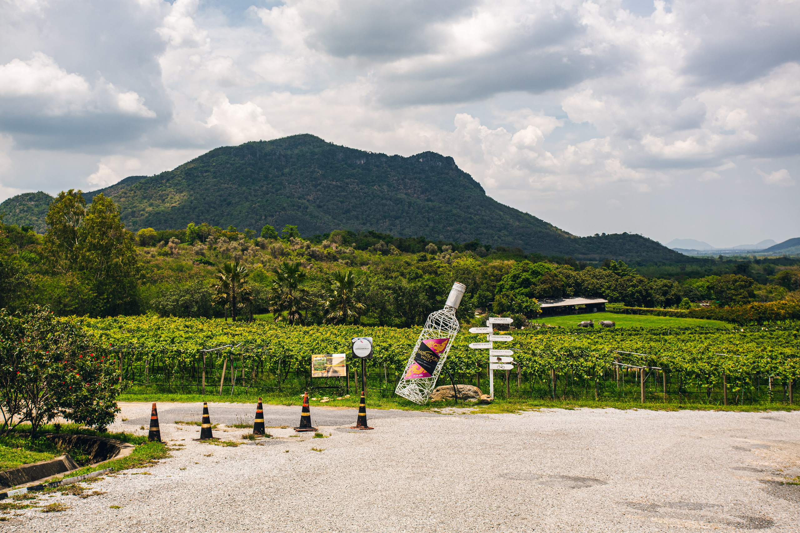 Фототур в Хуахин (Тайланд). Семейный и художественный фотограф в Тюмени Юлия Логинова