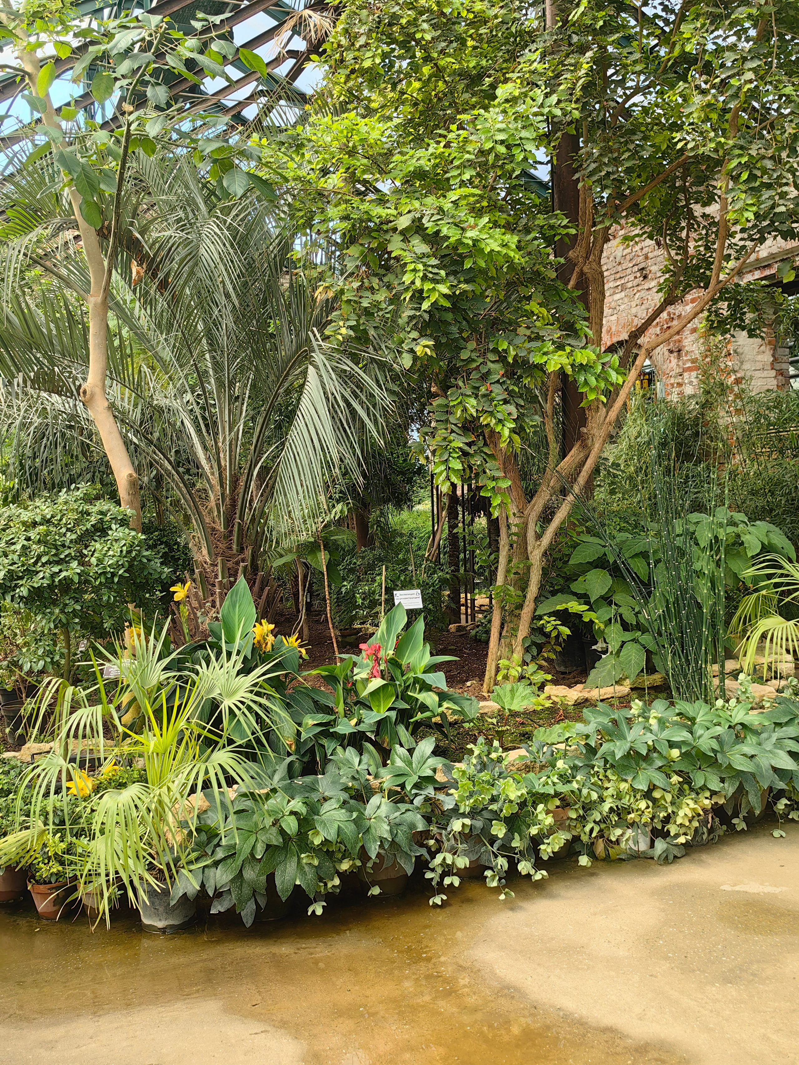 Парк АПТЕКАРСКИЙ ОГОРОД обзор. Фотограф в Москве и Московской области (Ю-В) Олеся Макарова