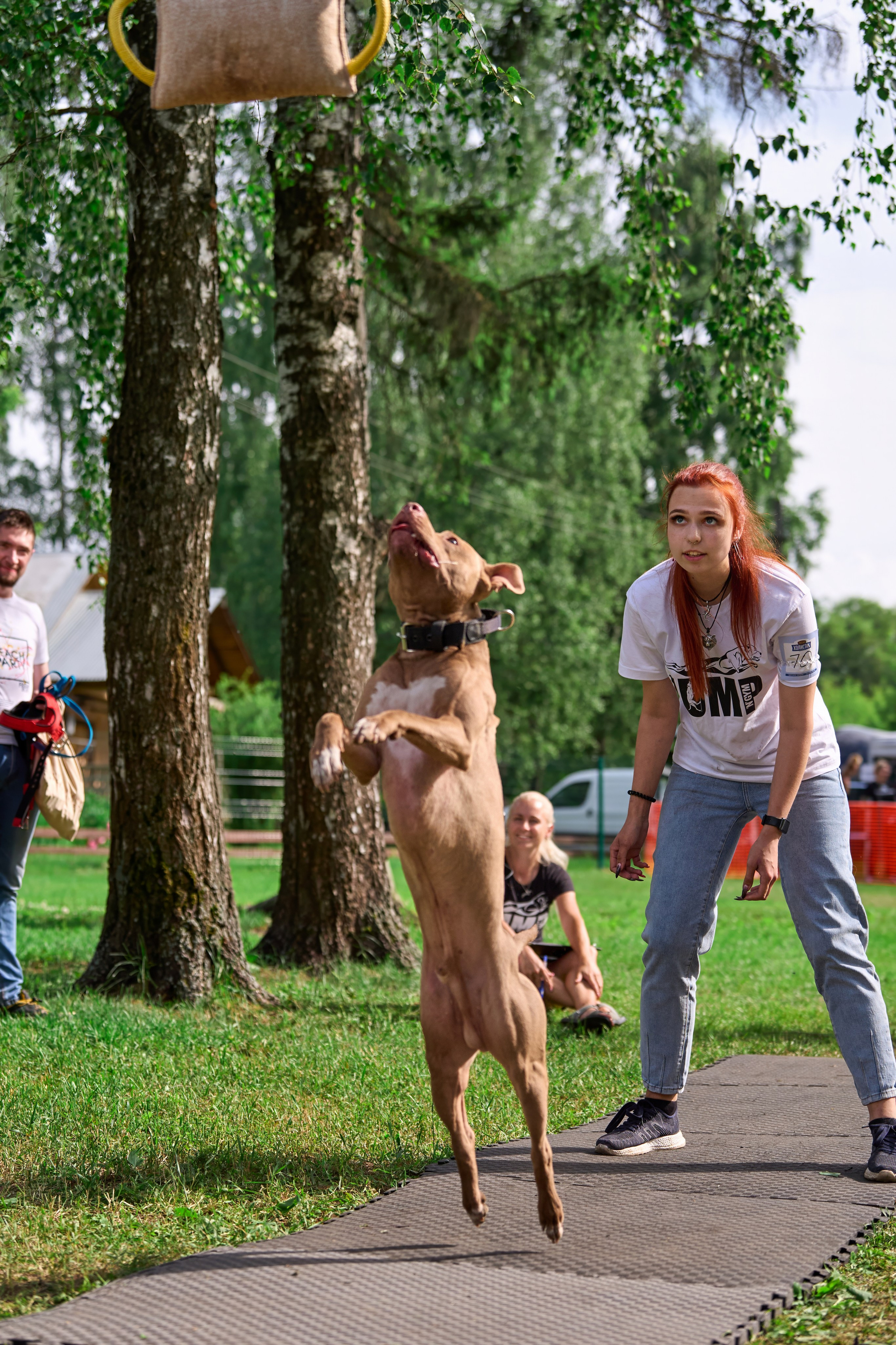 Двухдневные соревнования «Jump'n'Gym Fest — 2024». Фотограф-анималист Михаил Манухин