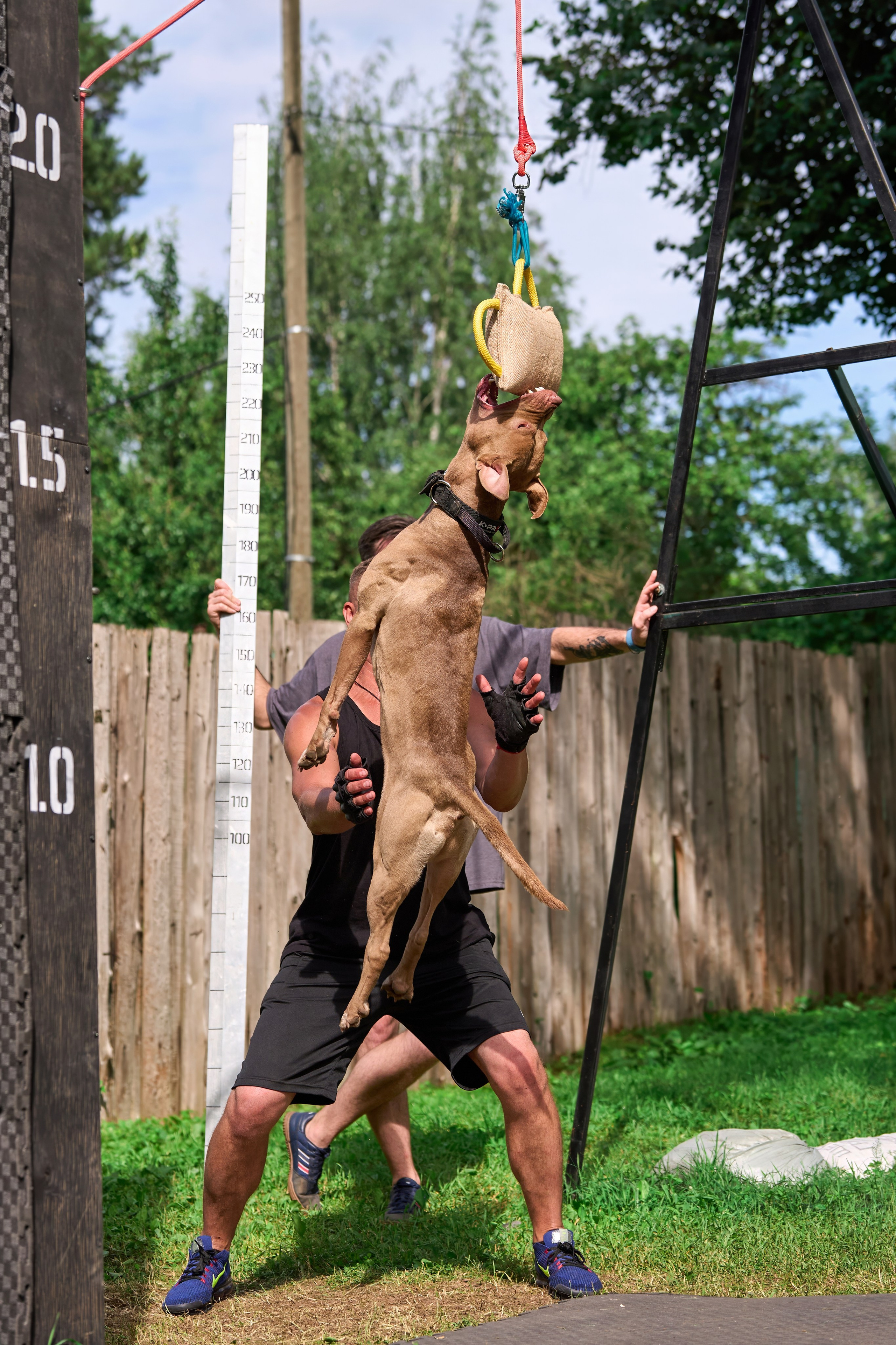 Двухдневные соревнования «Jump'n'Gym Fest — 2024». Фотограф-анималист Михаил Манухин
