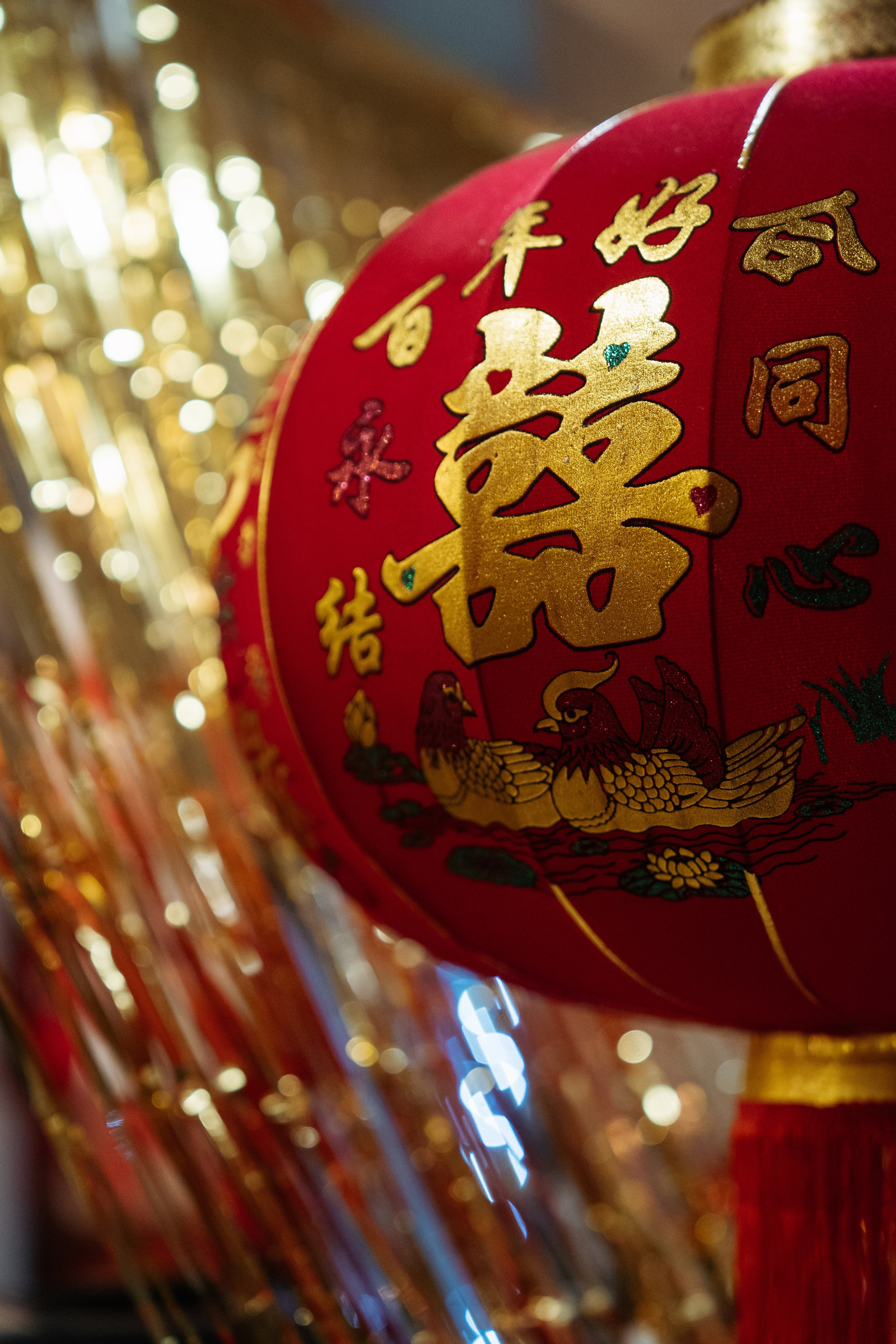 Корпоратив Saint-Gobain. Свадебный фотограф в Москве и Подмосковье Виктор Одинцов