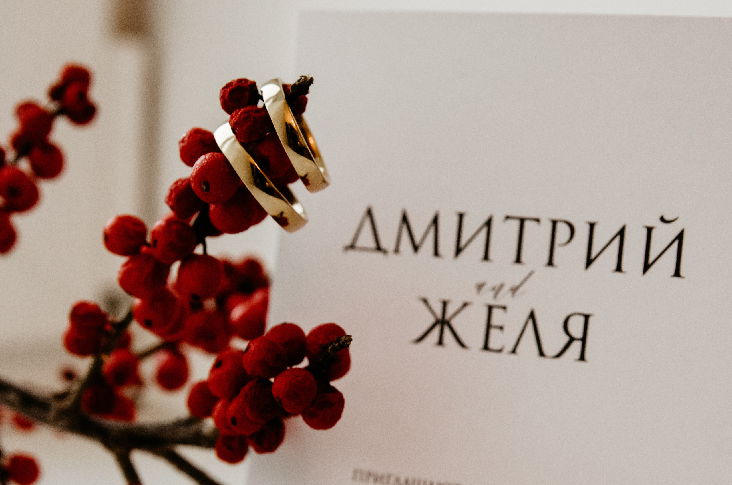 Анжелика и Дмитрий. Мария Твилла