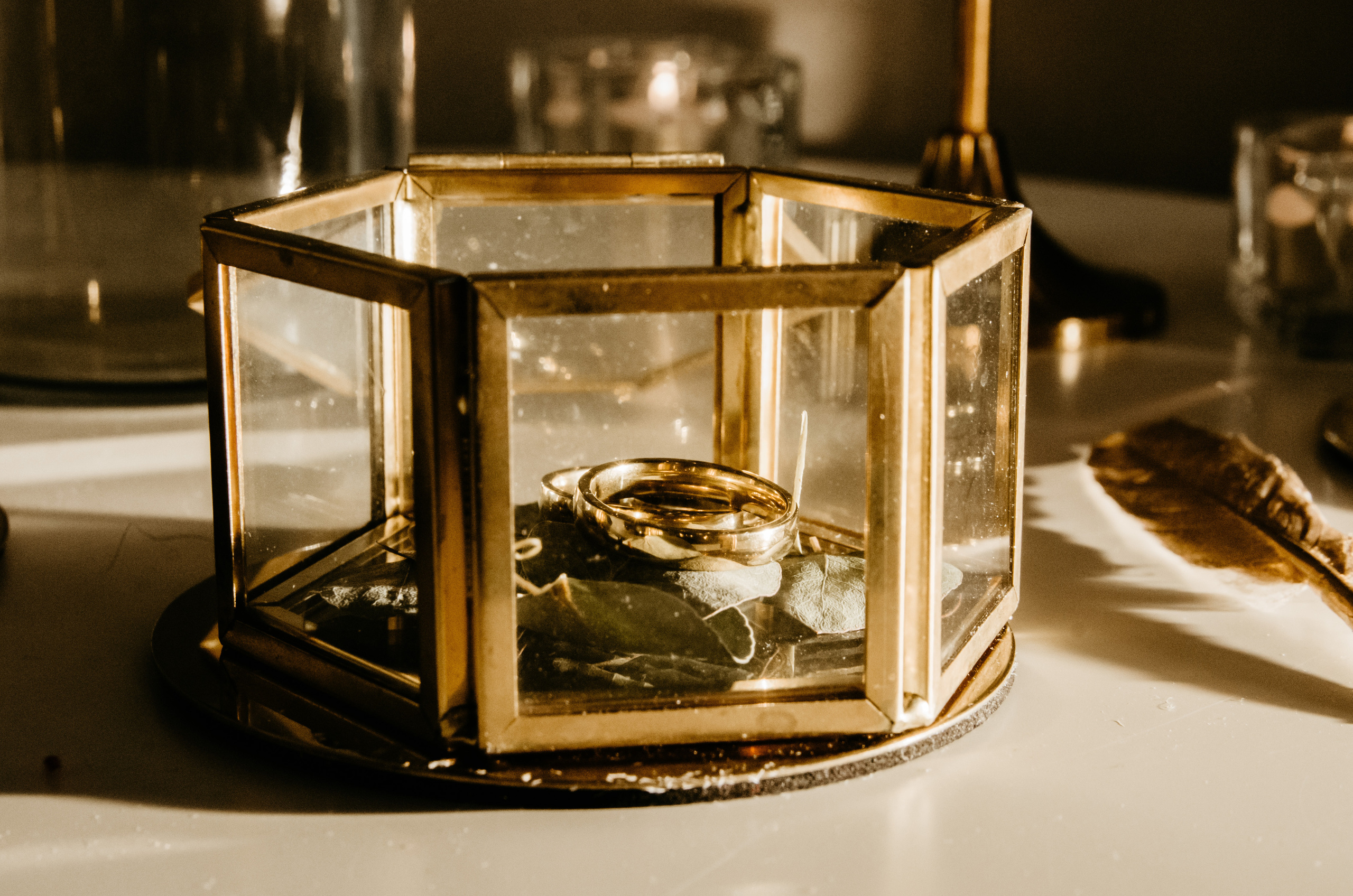 Анжелика и Дмитрий. Мария Твилла