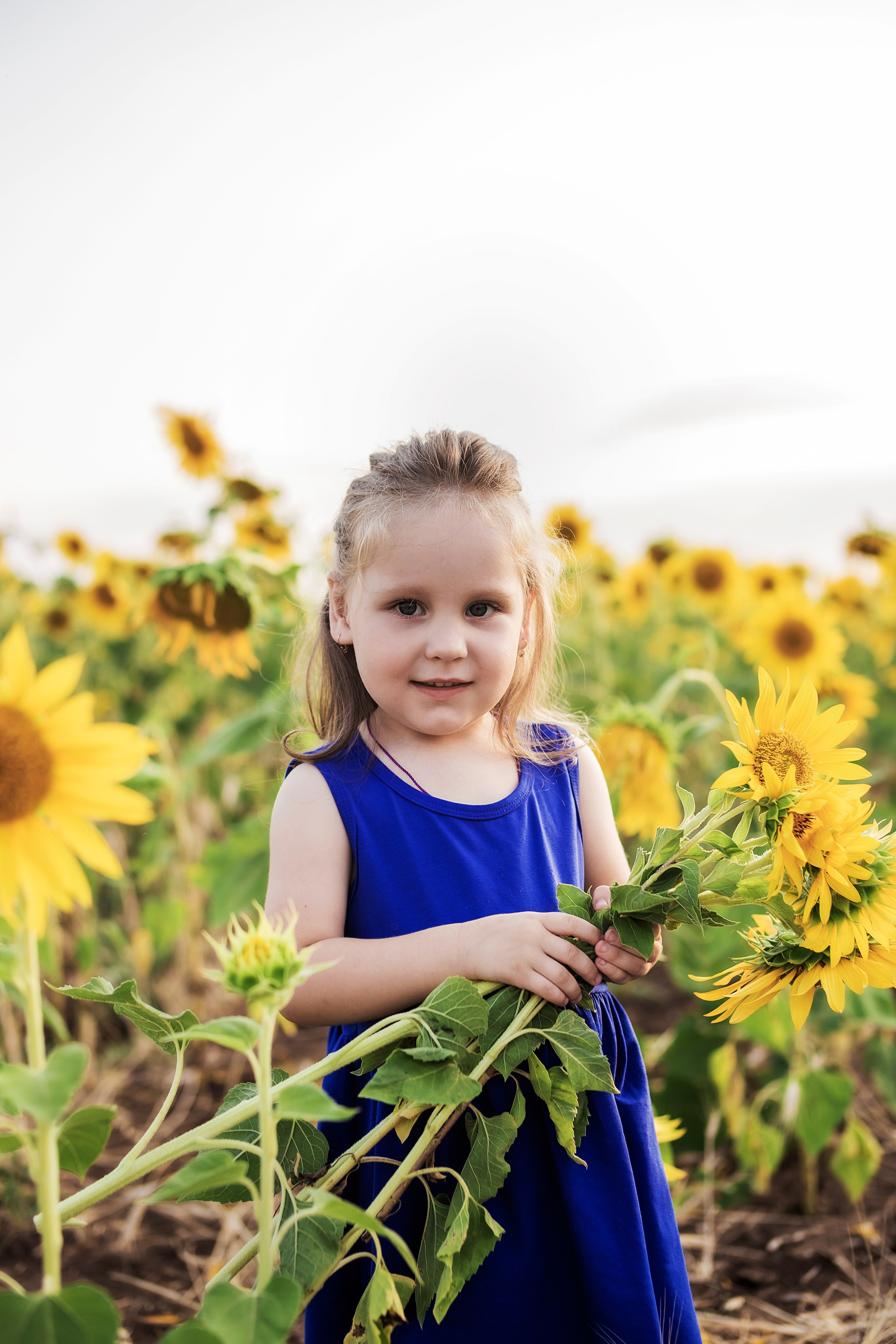 Фото в подсолнухах. Семейный фотограф в Саратове