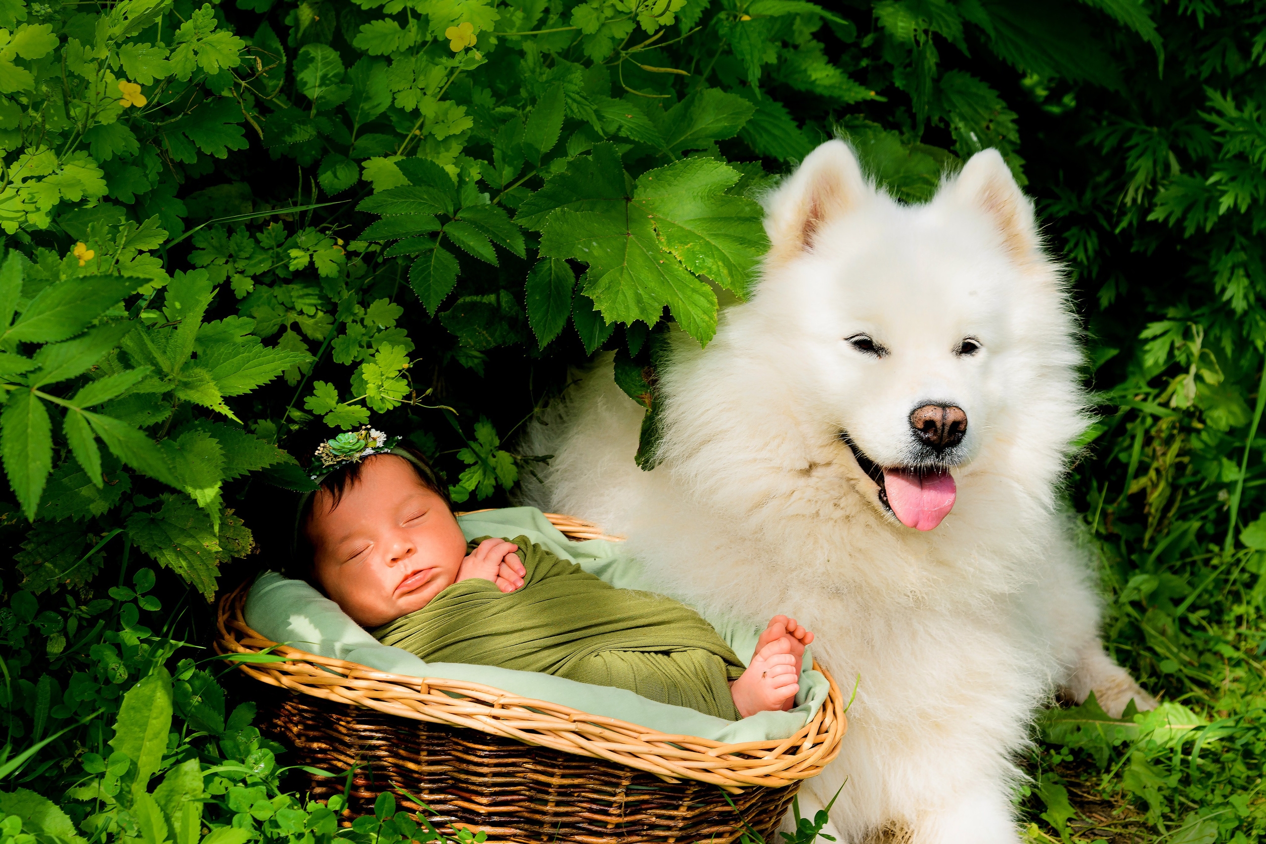 Адочка. Newborn фотосессия. Ада Колесова newborn фотограф, детский и семейный фотограф, в ожидании чуда