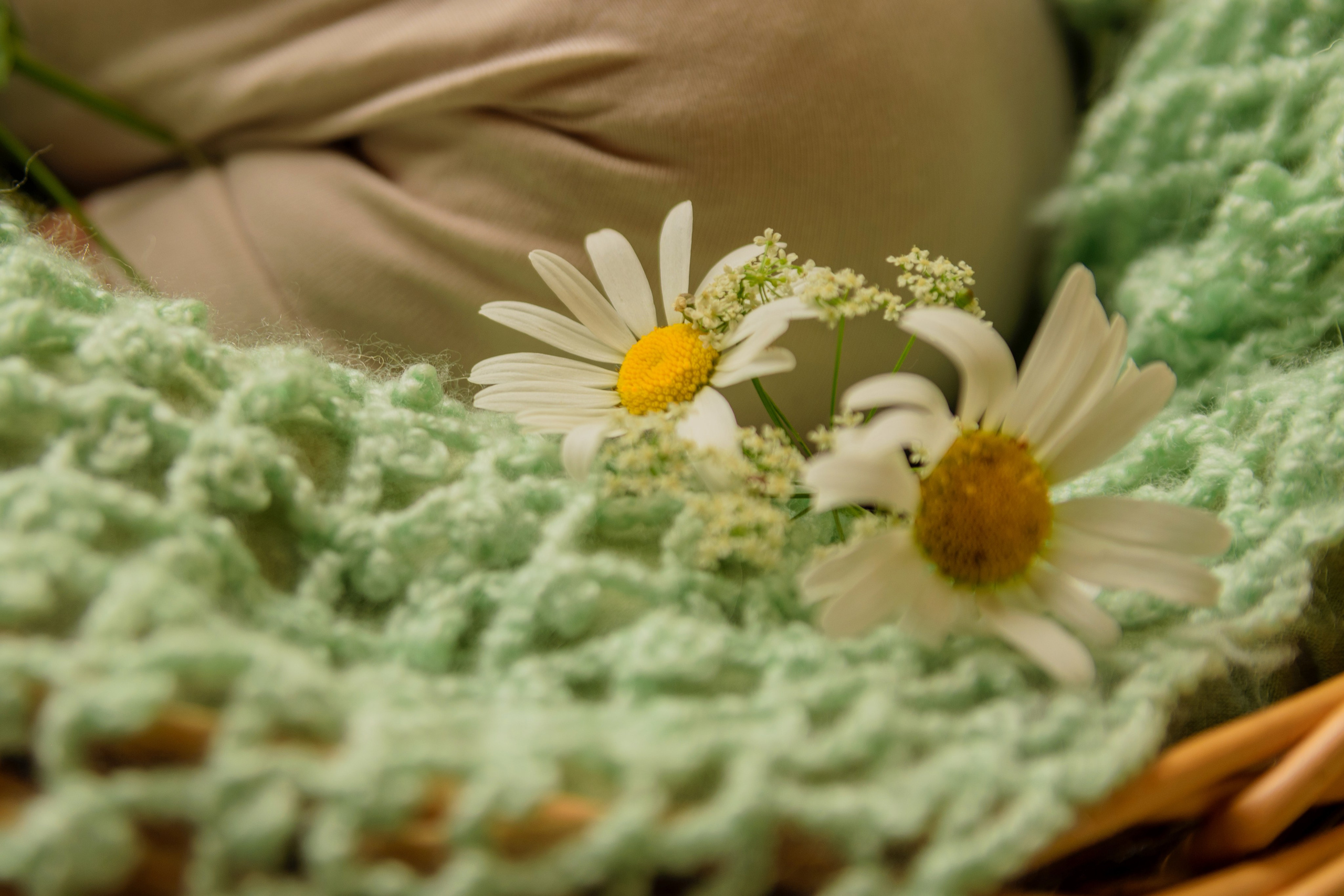 Адочка. Newborn фотосессия. Ада Колесова newborn фотограф, детский и семейный фотограф, в ожидании чуда
