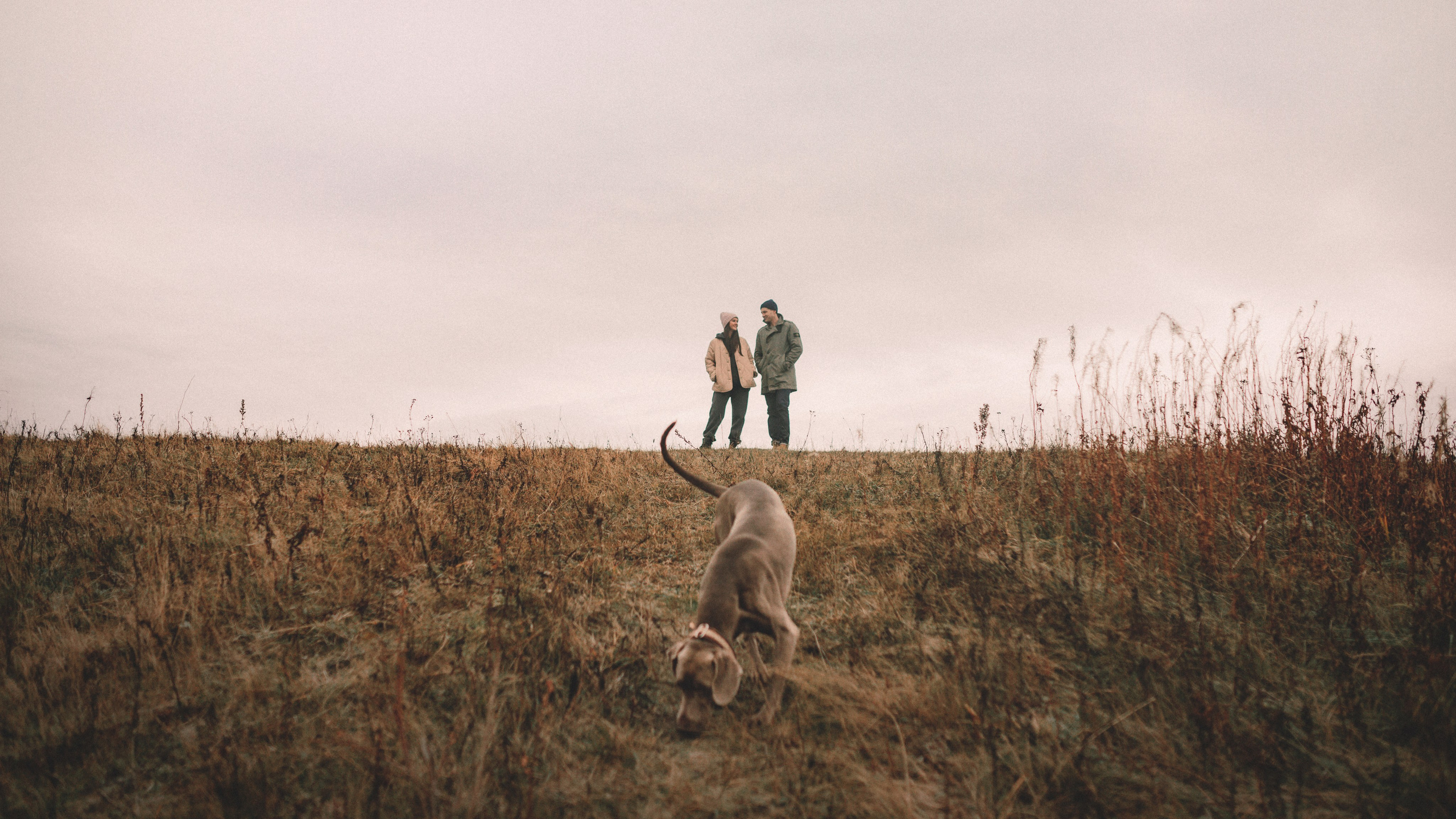 Фотограф-анималист • love-story • Санкт-Петербург