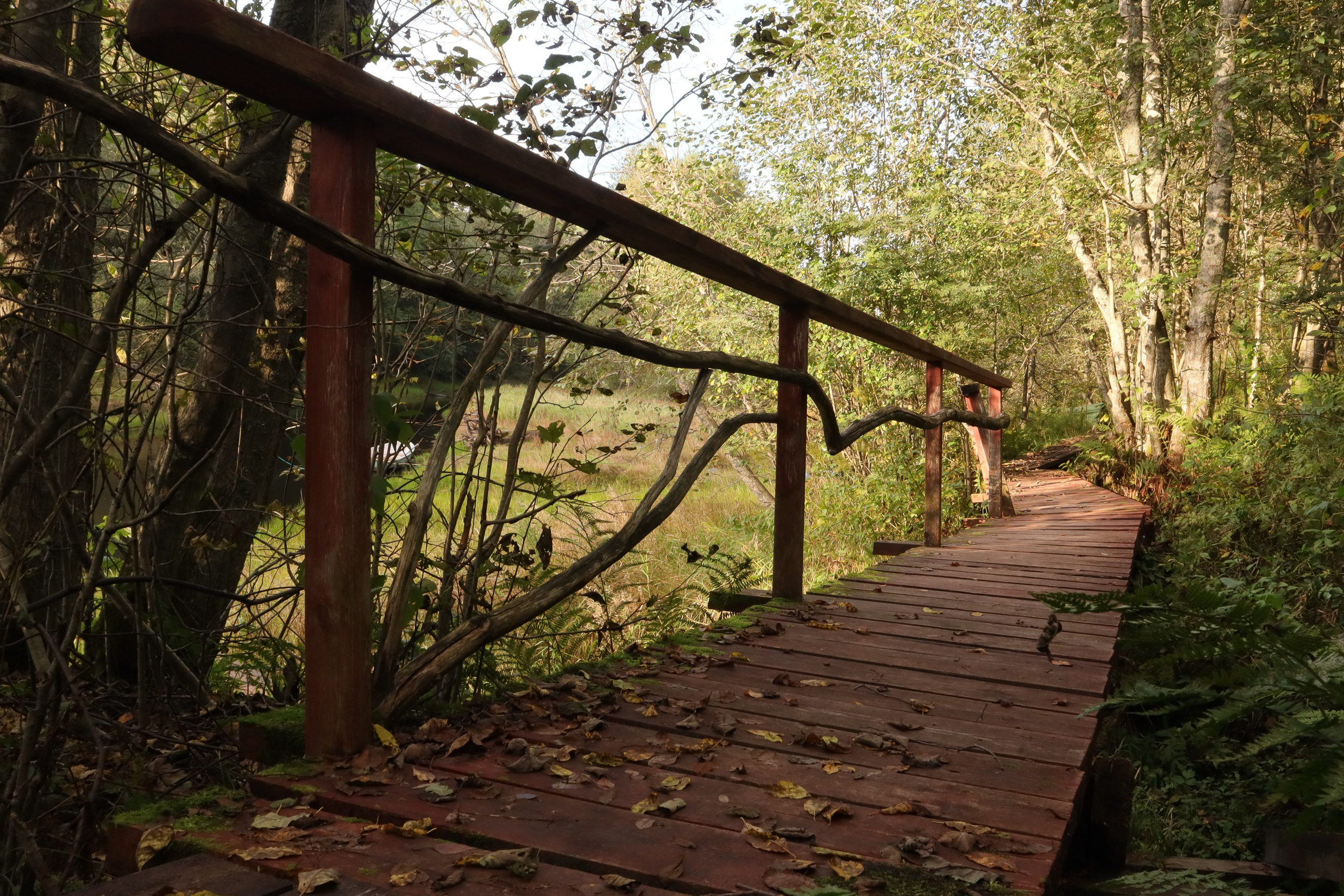 Прибытие. Северные Ночи