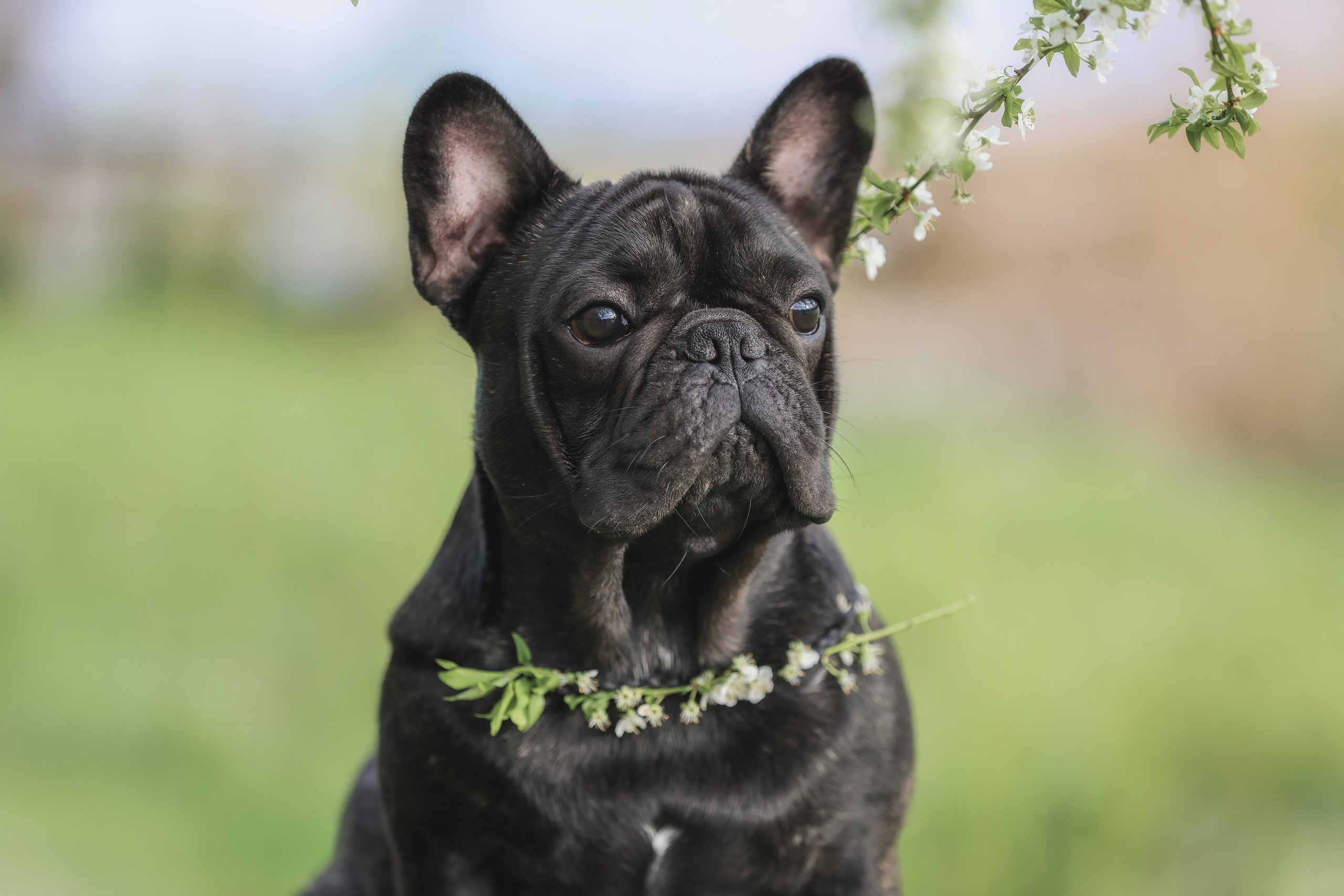 Фотограф Алена Звездина